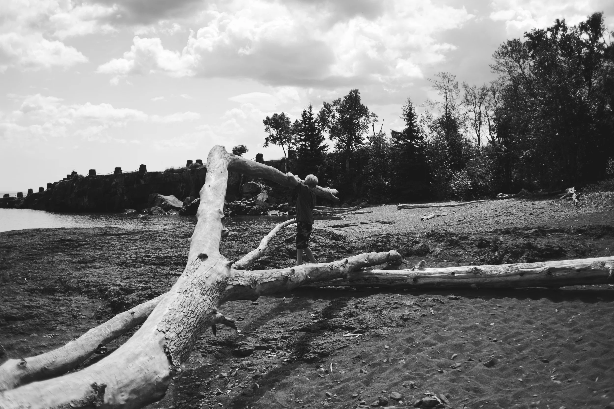 DSC_0198.jpg