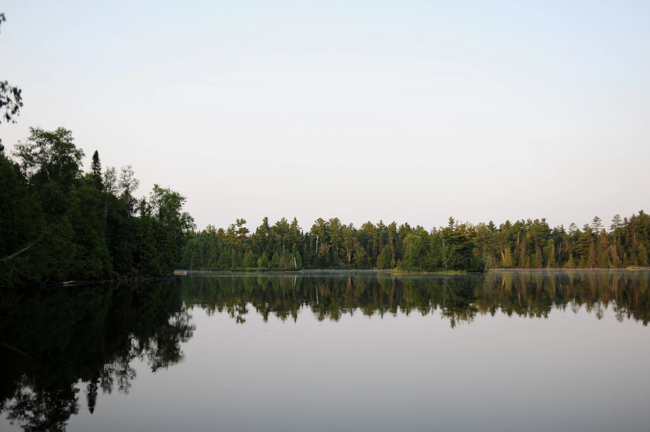 DSC_0695.jpg