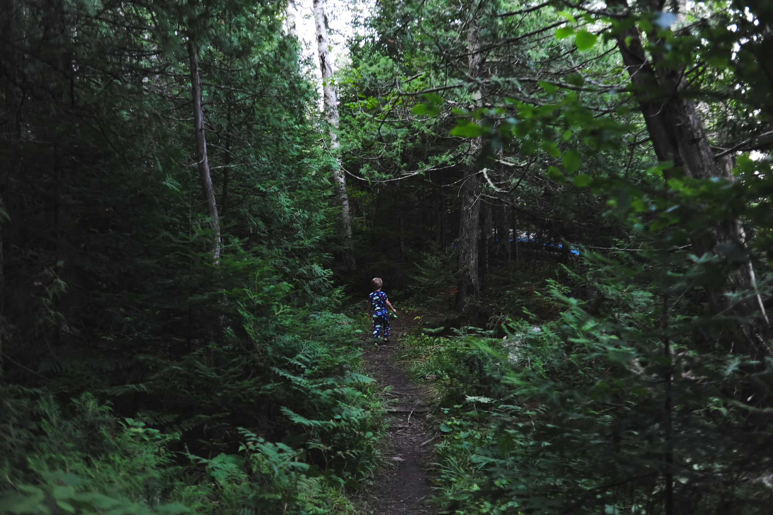 DSC_0709.jpg