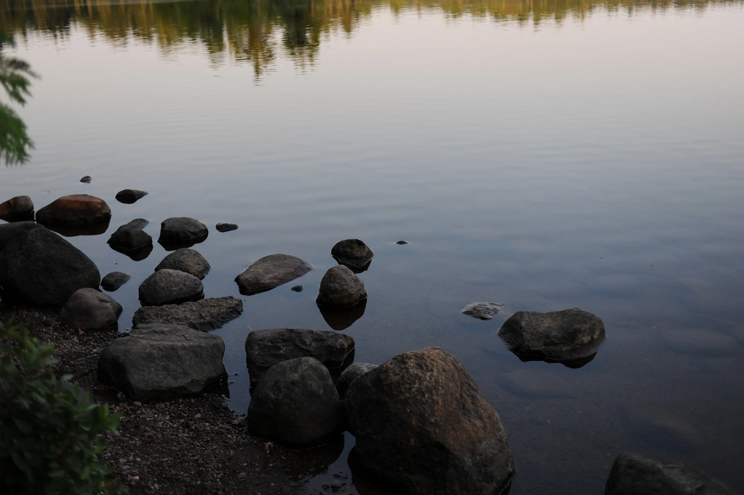 DSC_0715.jpg