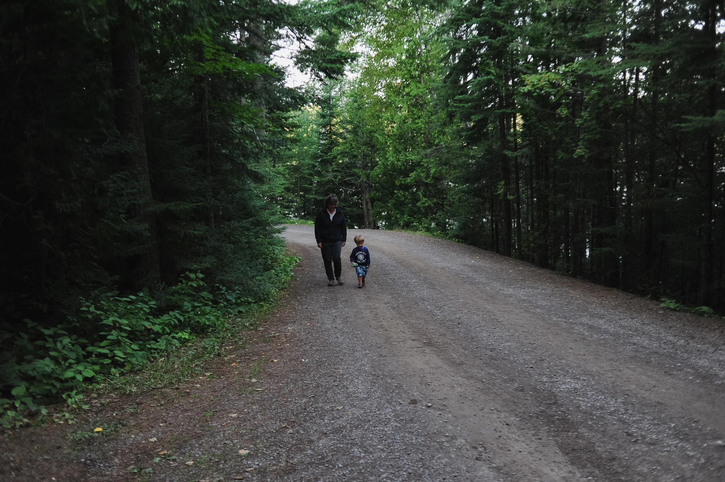 DSC_0731.jpg