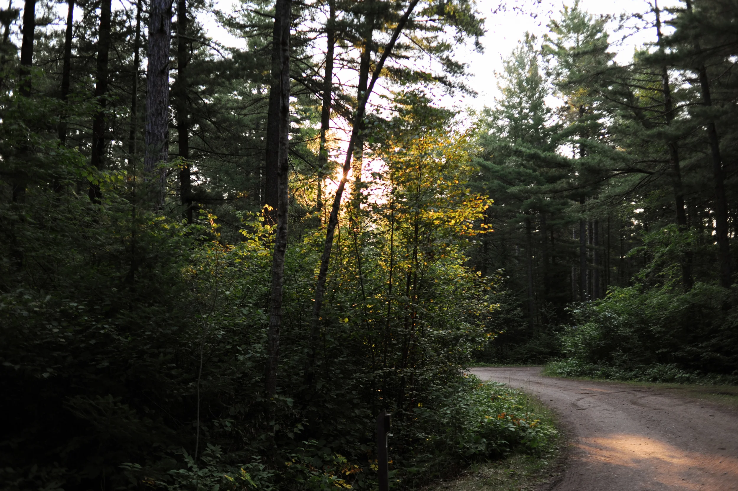 DSC_0737.jpg