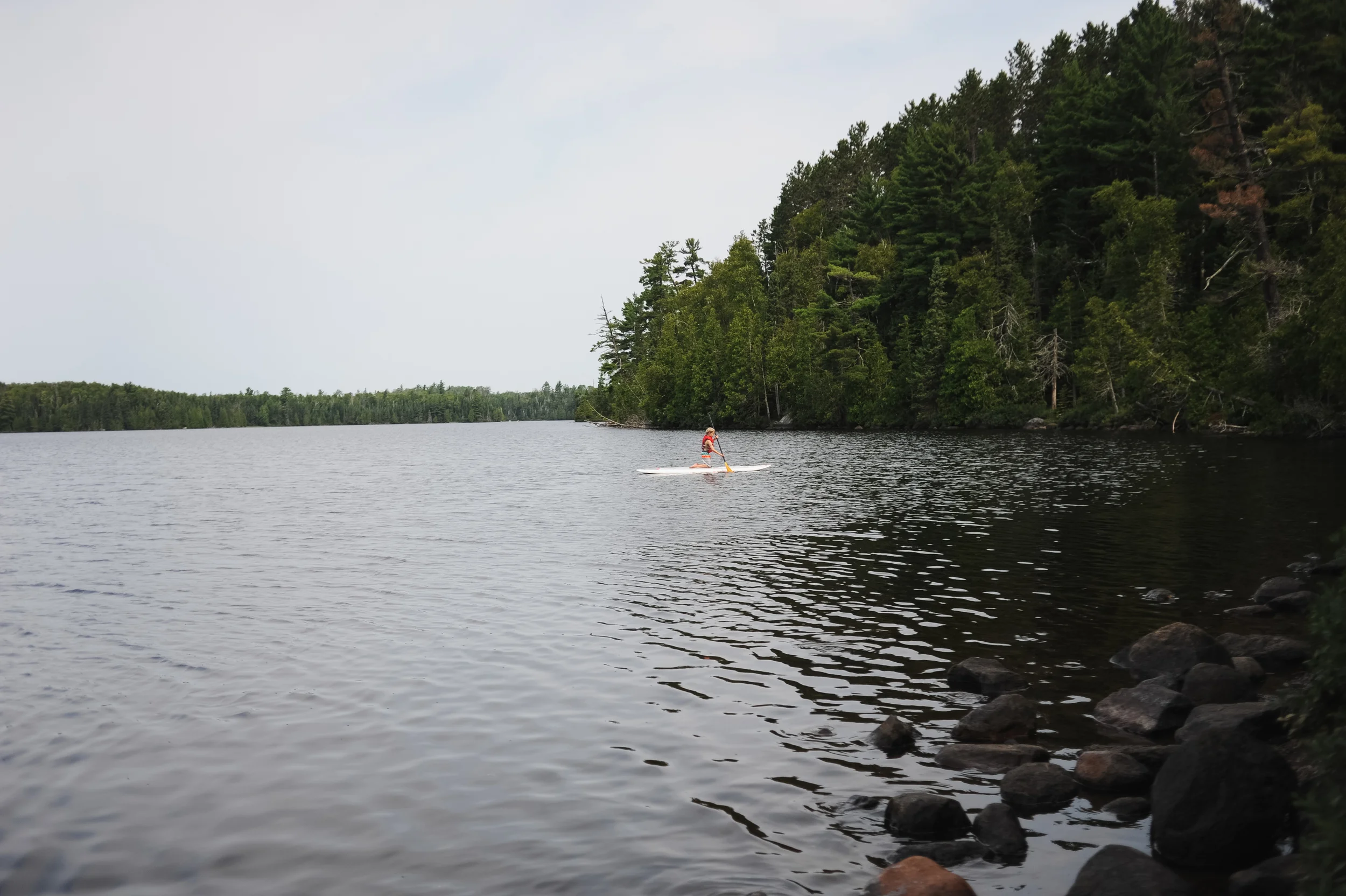 DSC_0818.jpg