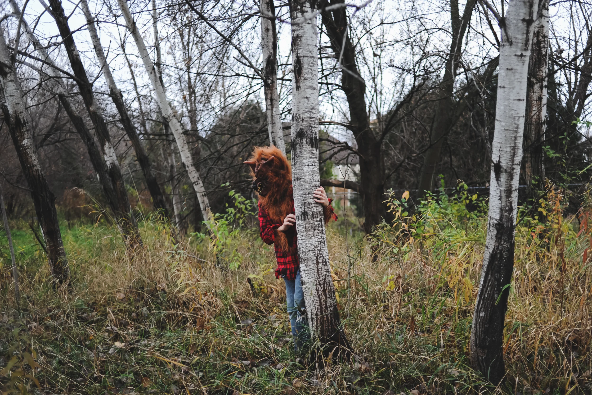 DSC_5279.jpg