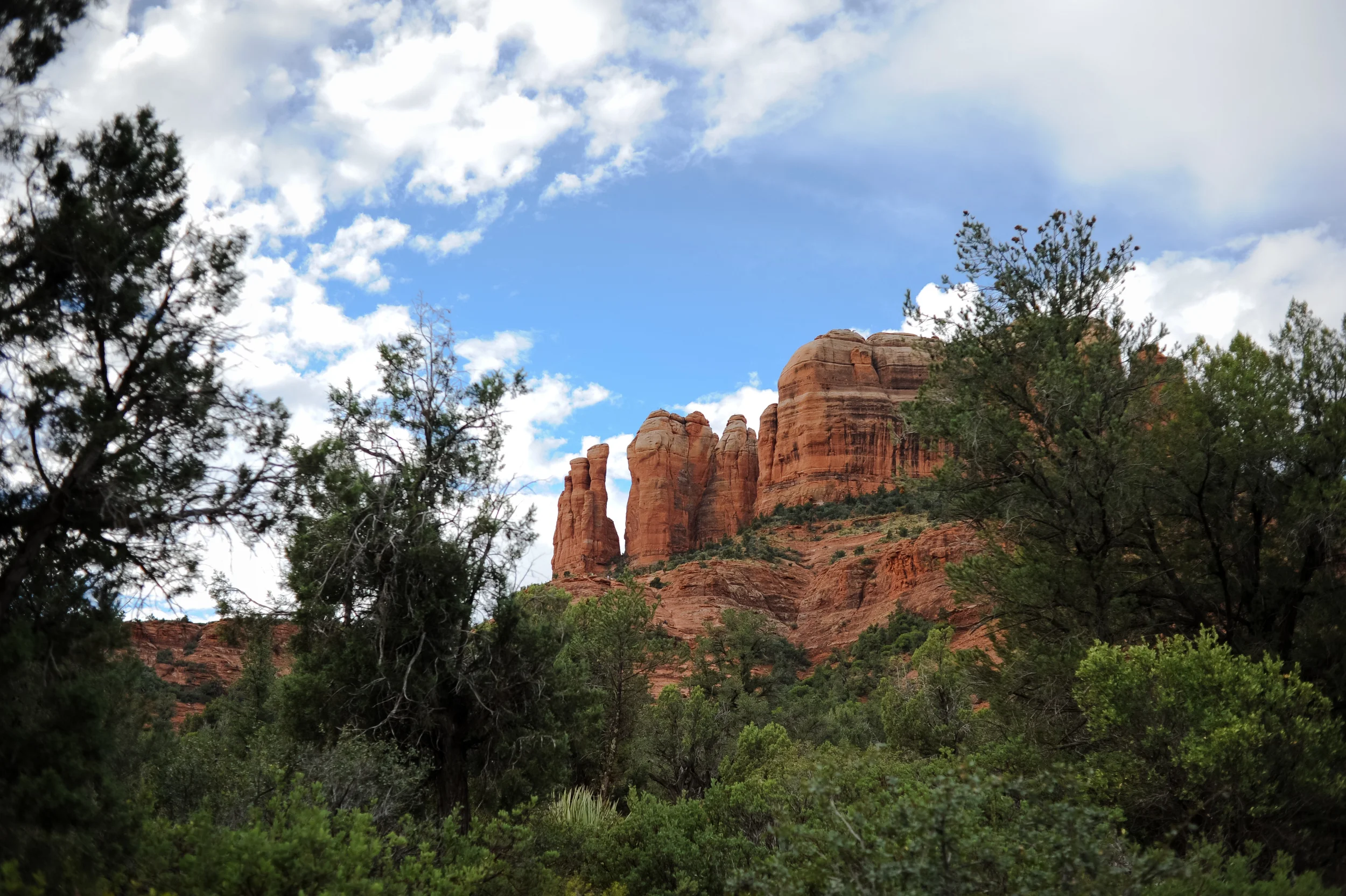 DSC_5057.jpg