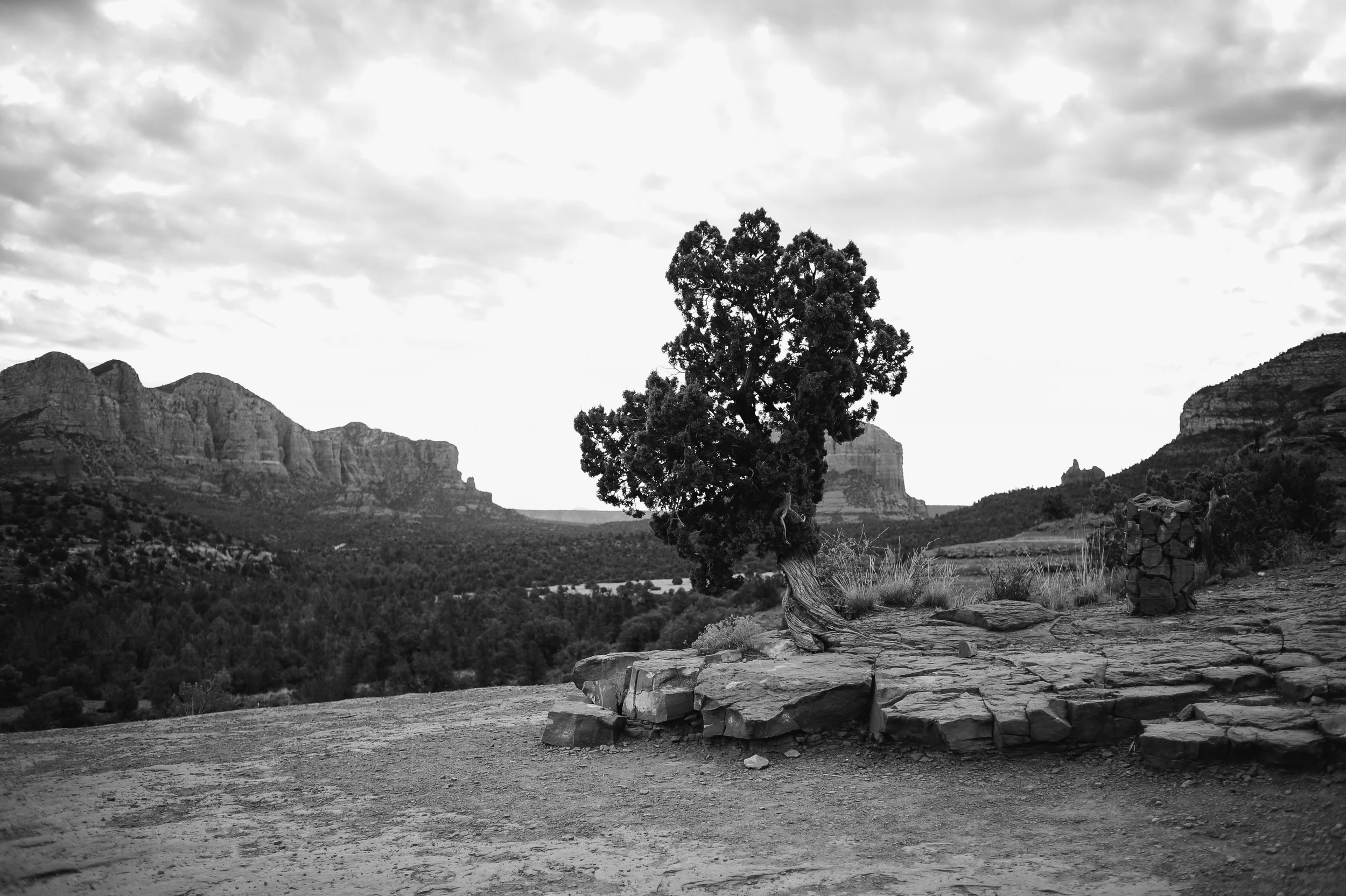 DSC_5077.jpg