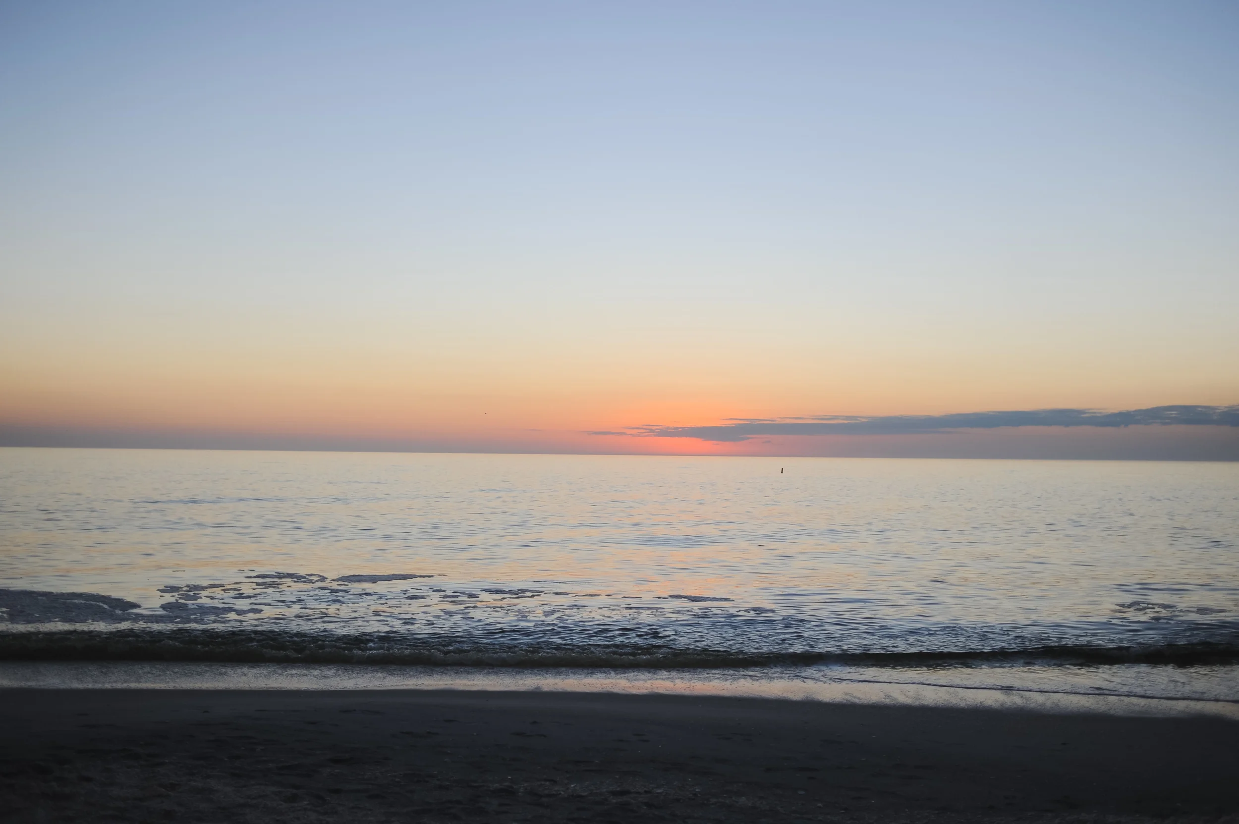 DSC_6765.jpg