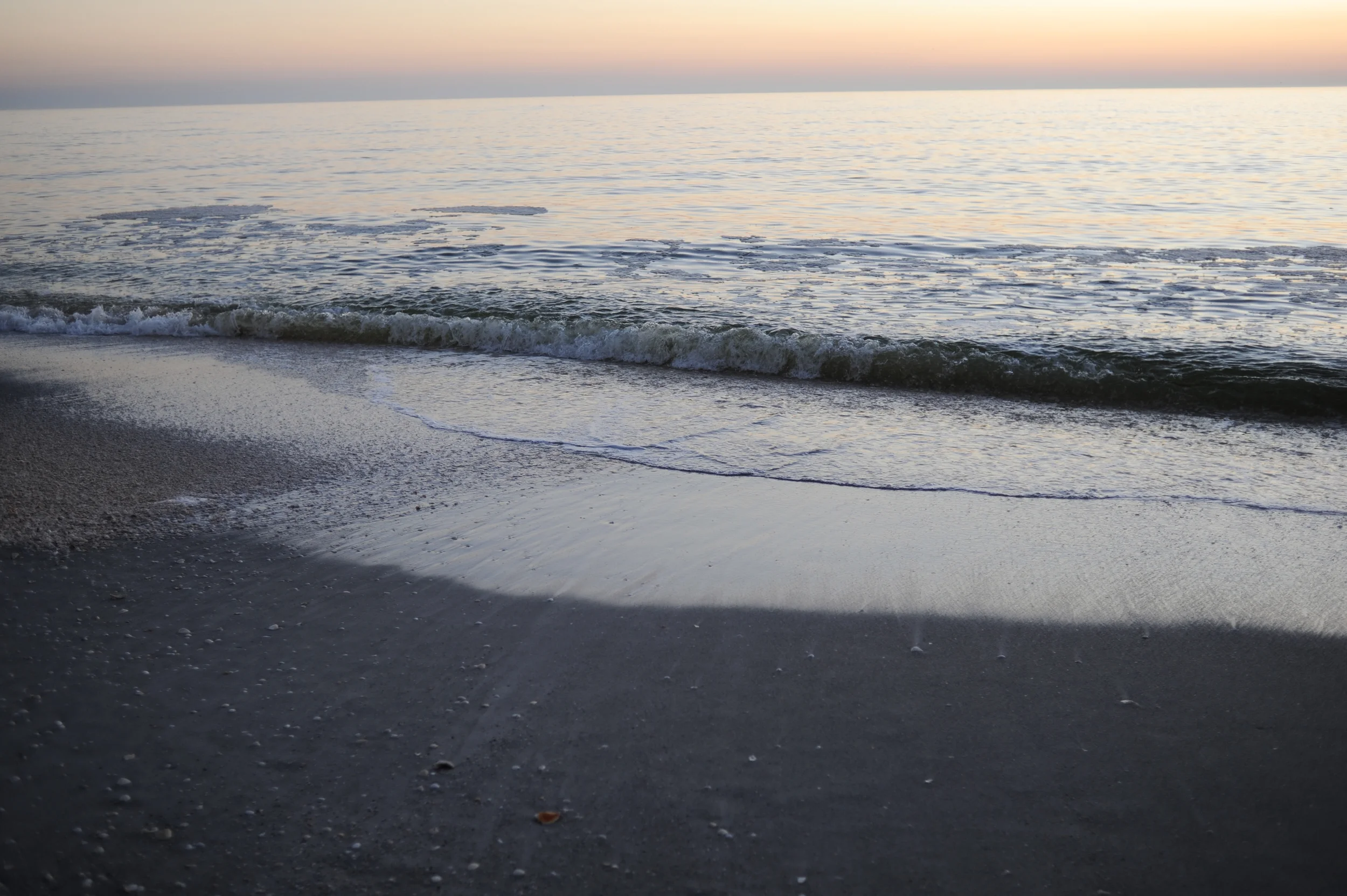 DSC_6776.jpg