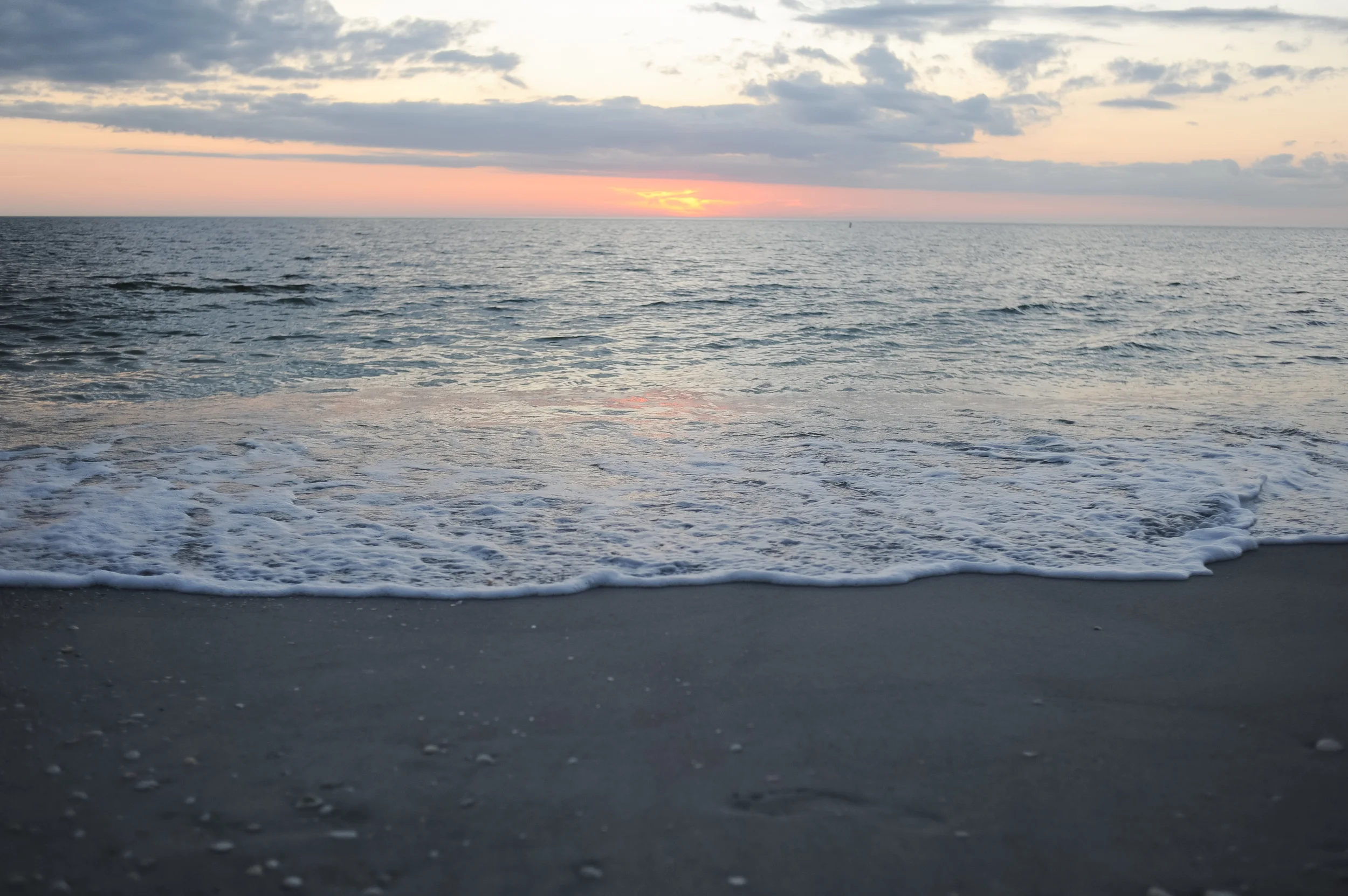 DSC_6874.jpg