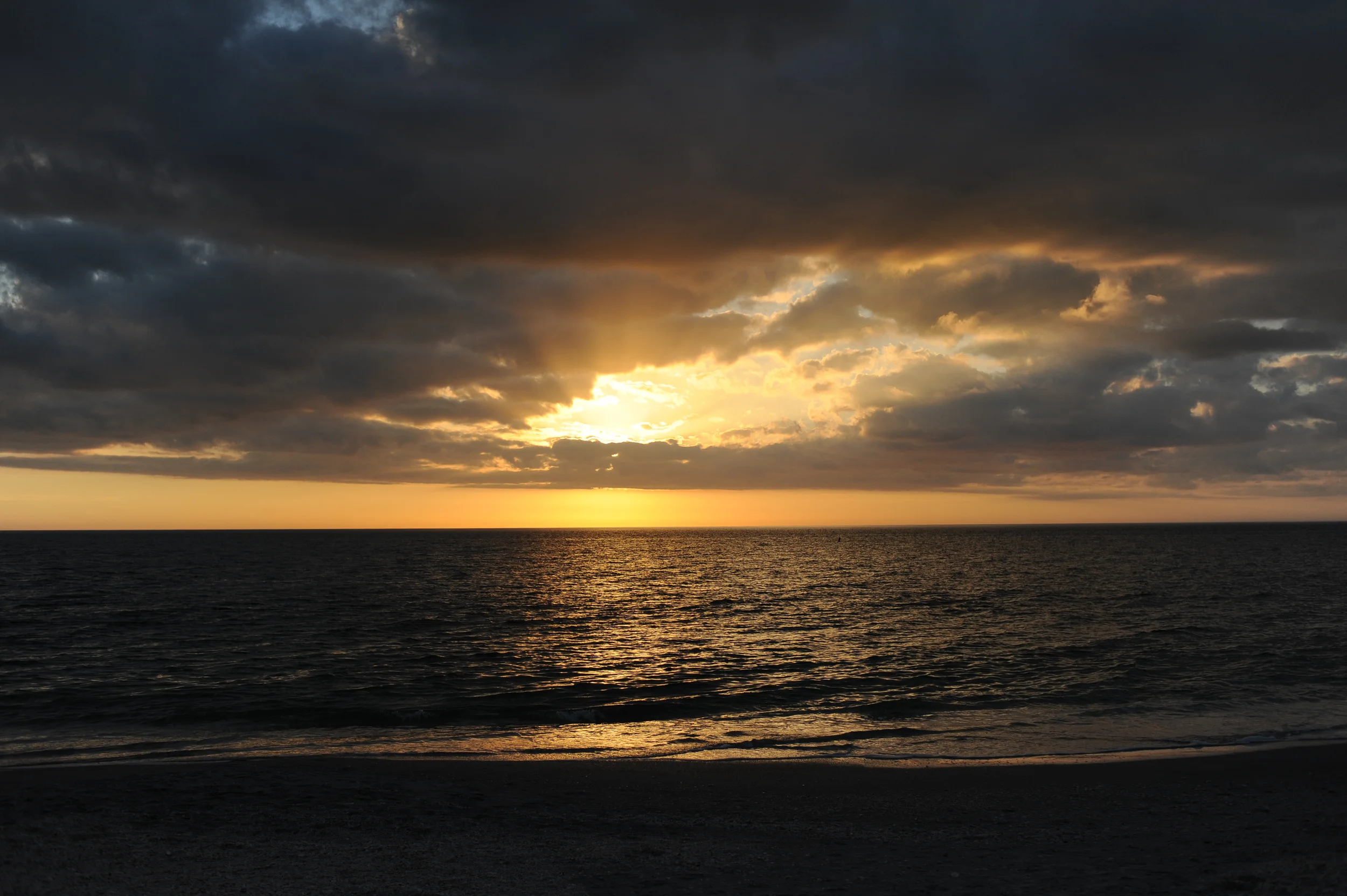 DSC_6835.jpg