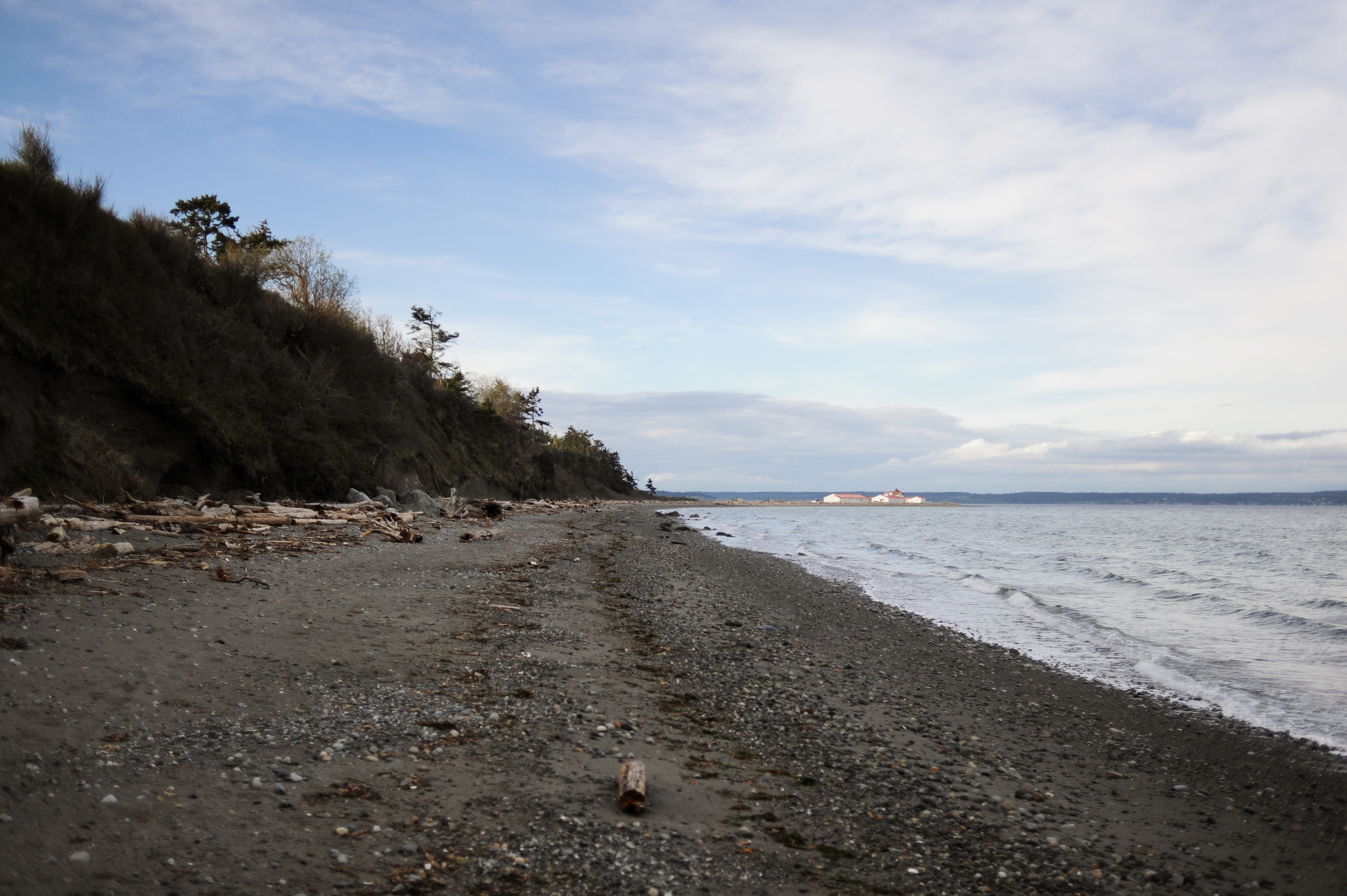 DSC_7176.jpg