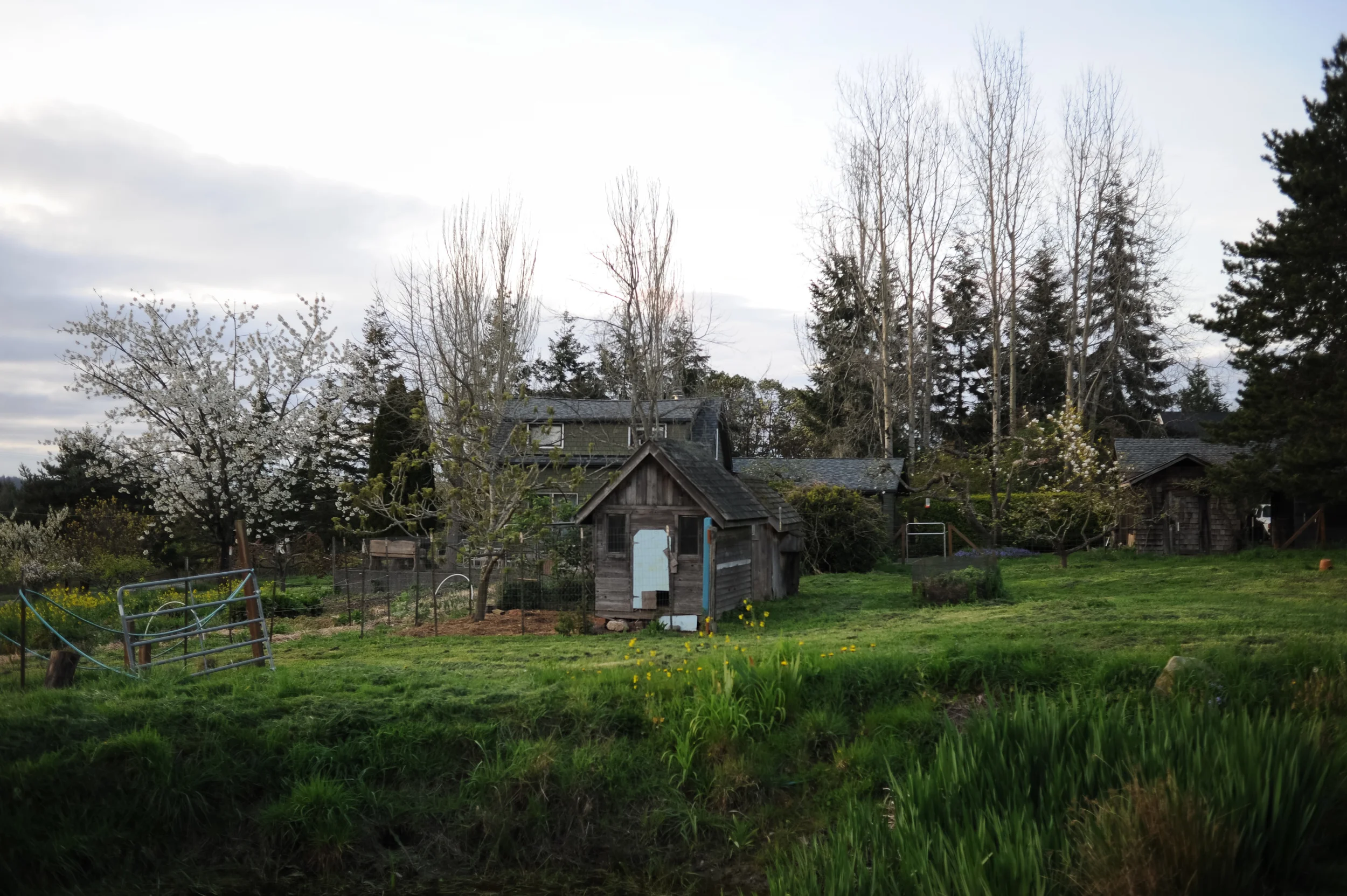 DSC_7187.jpg