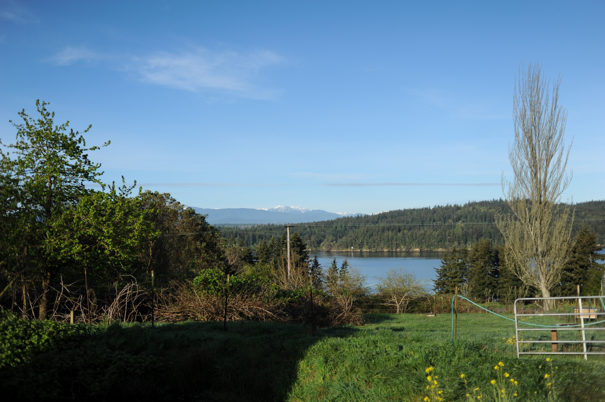 DSC_7193.jpg