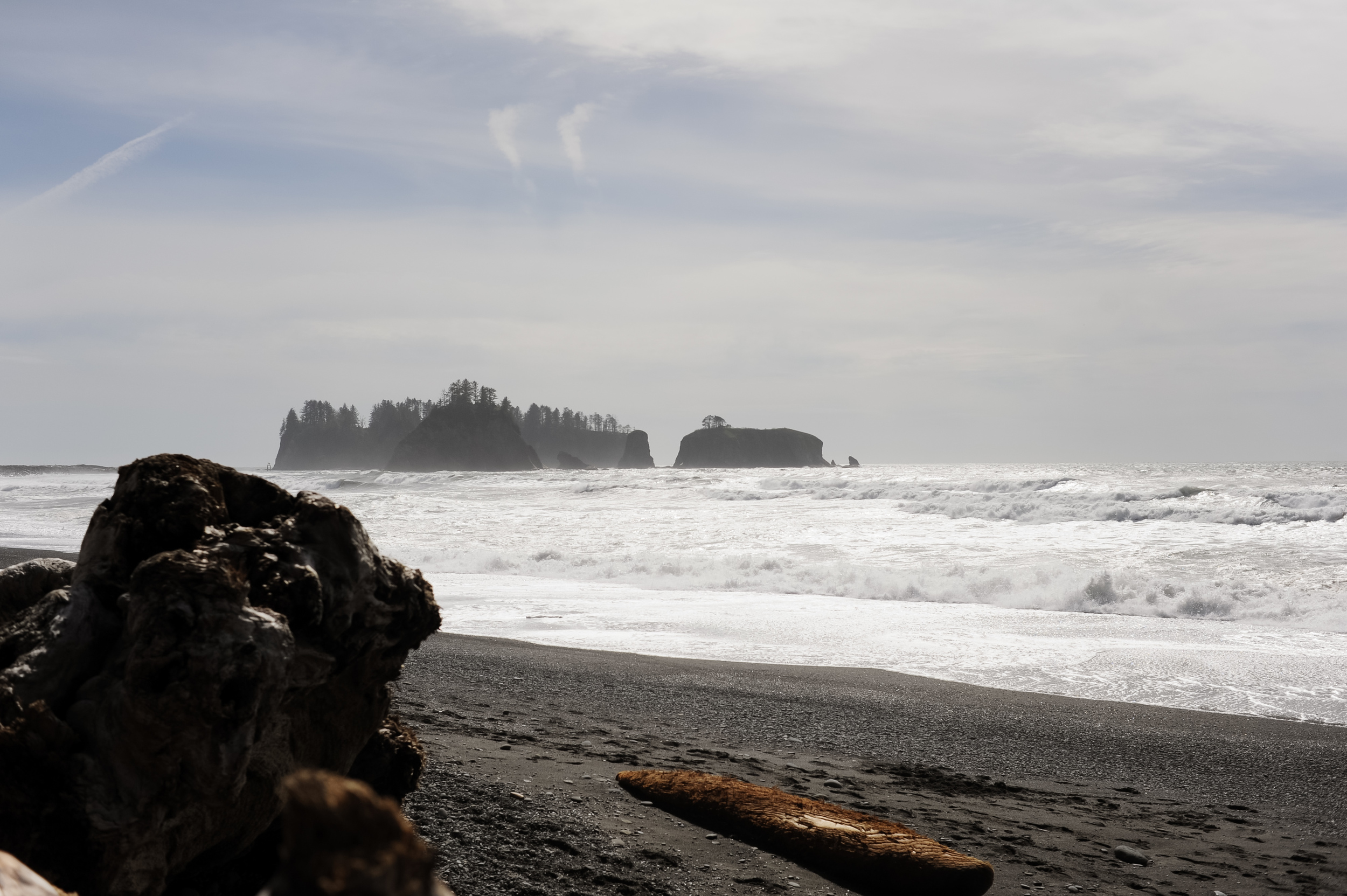 DSC_7217.jpg
