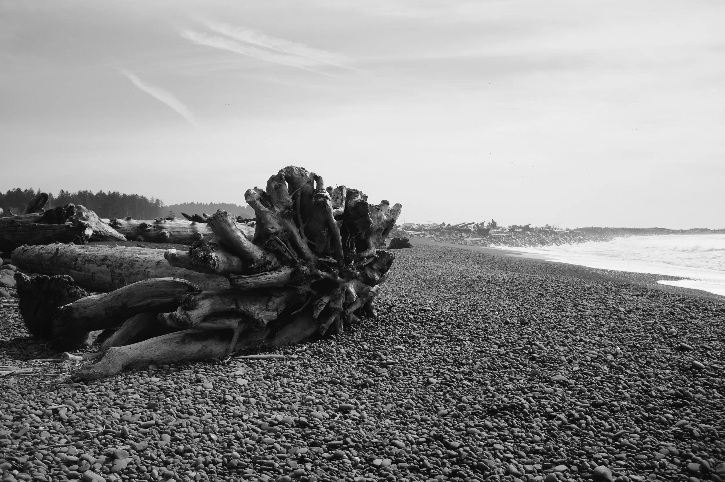 DSC_7245.jpg