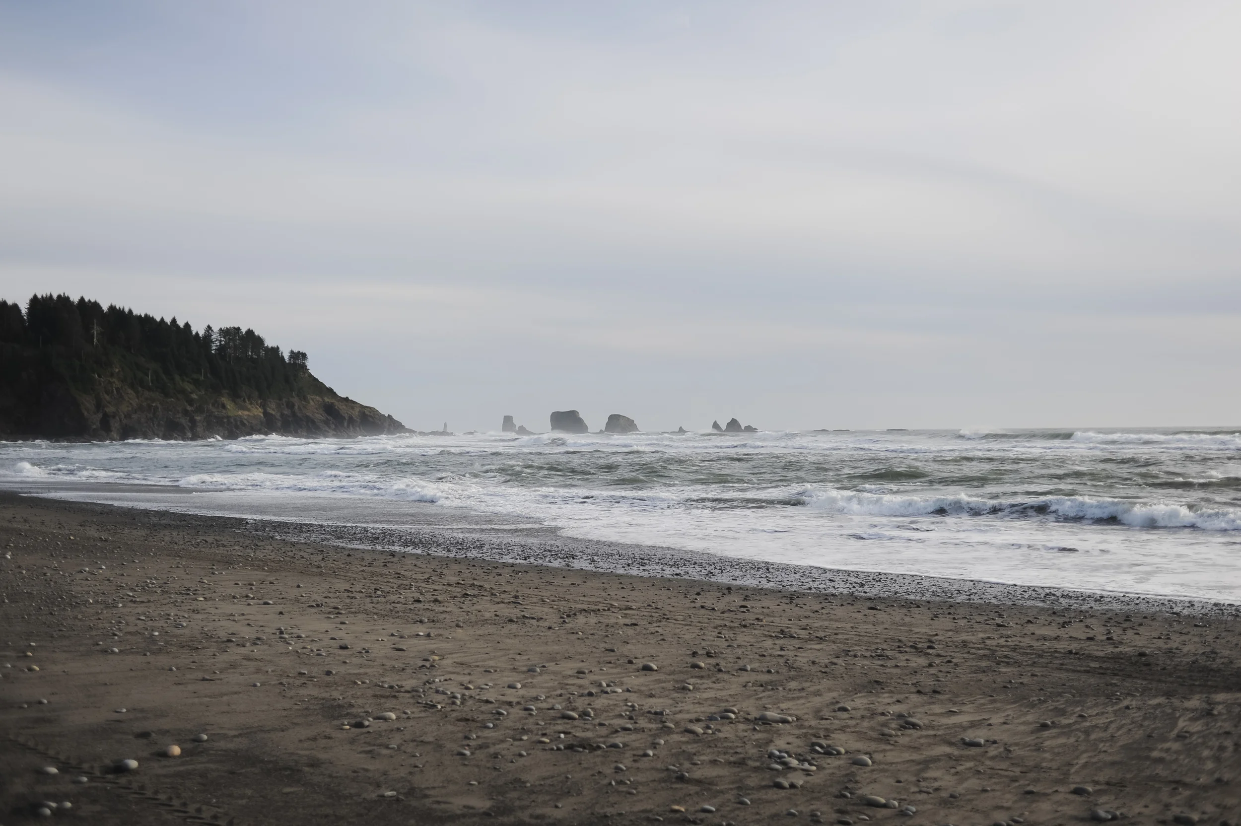 DSC_7280.jpg