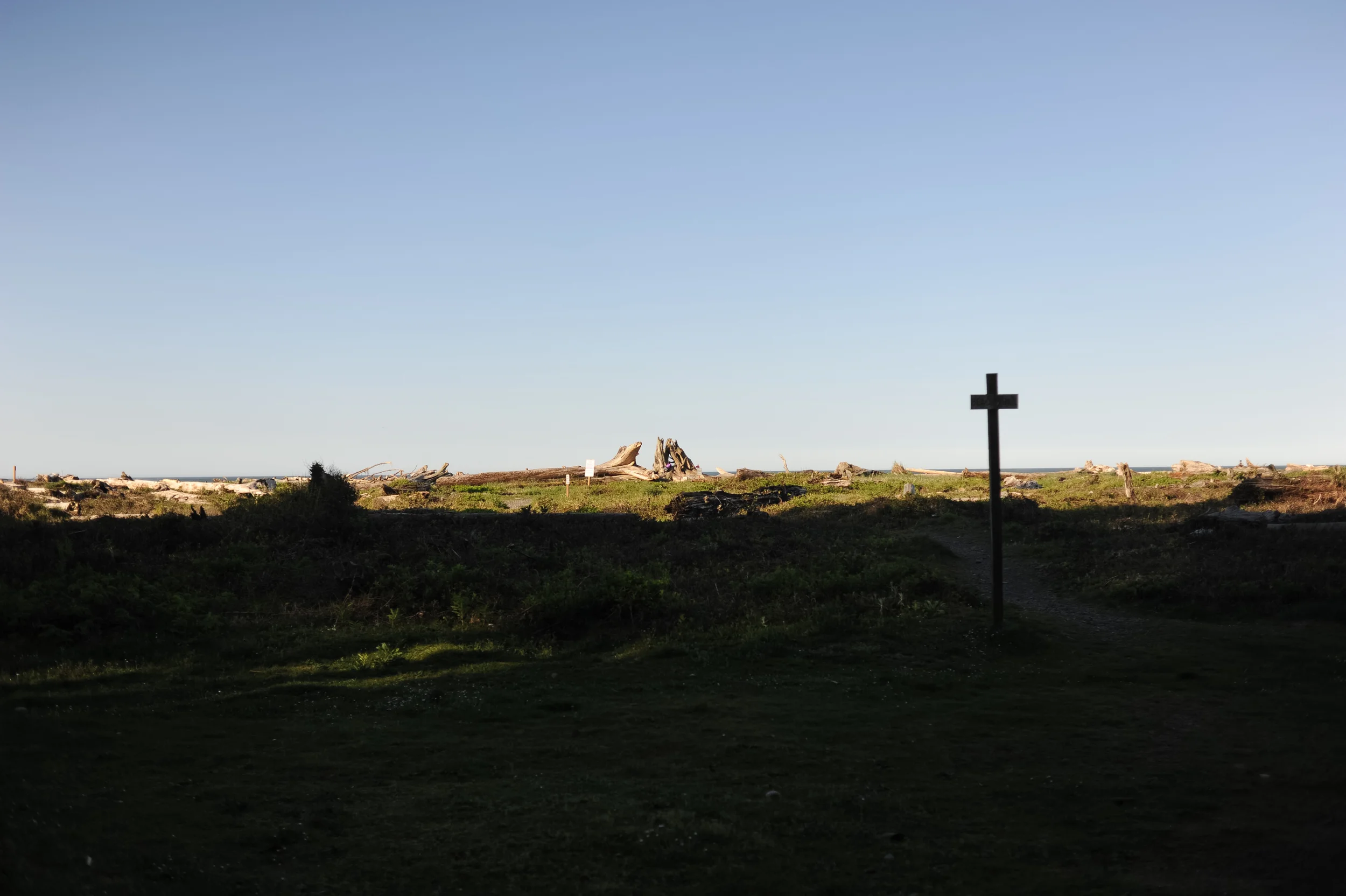DSC_7325.jpg