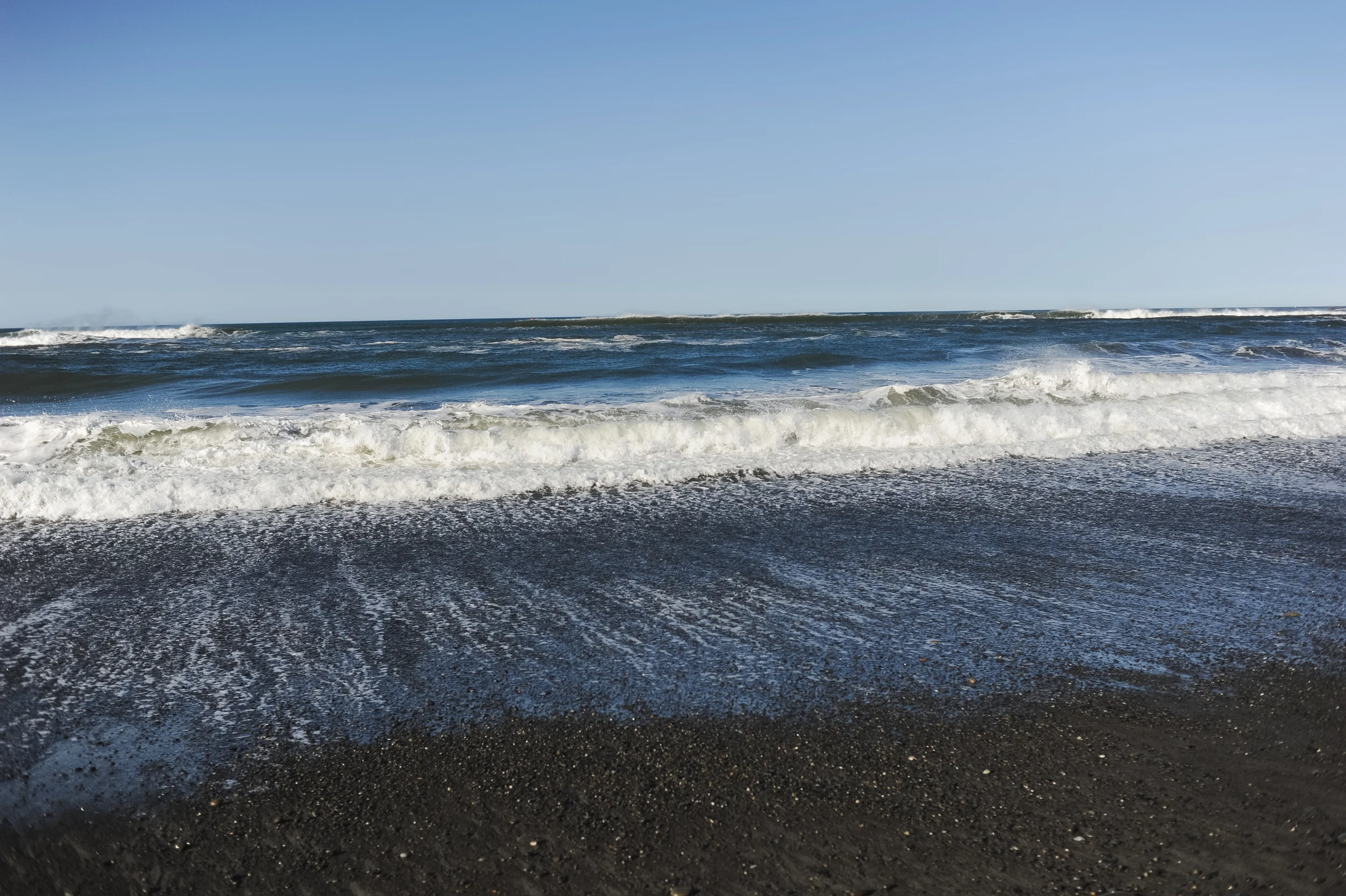 DSC_7342.jpg