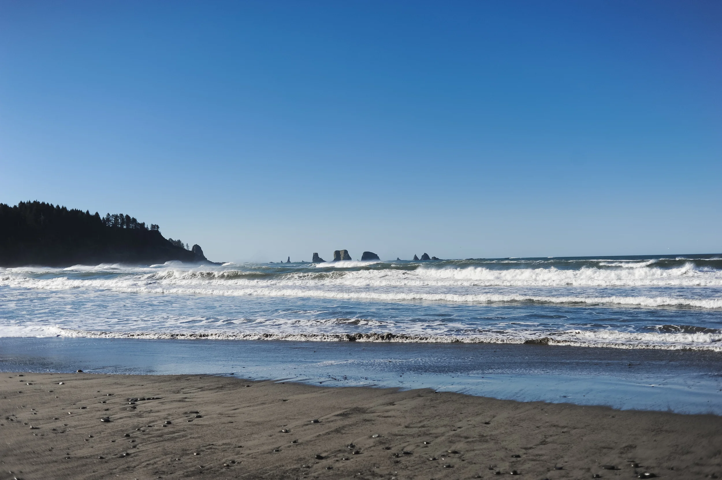 DSC_7350.jpg