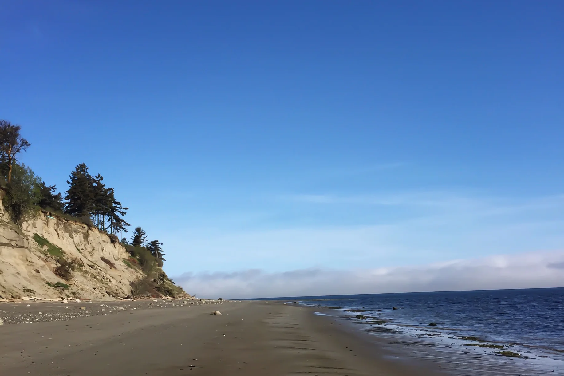 2016-04-08 10.42.39.jpg