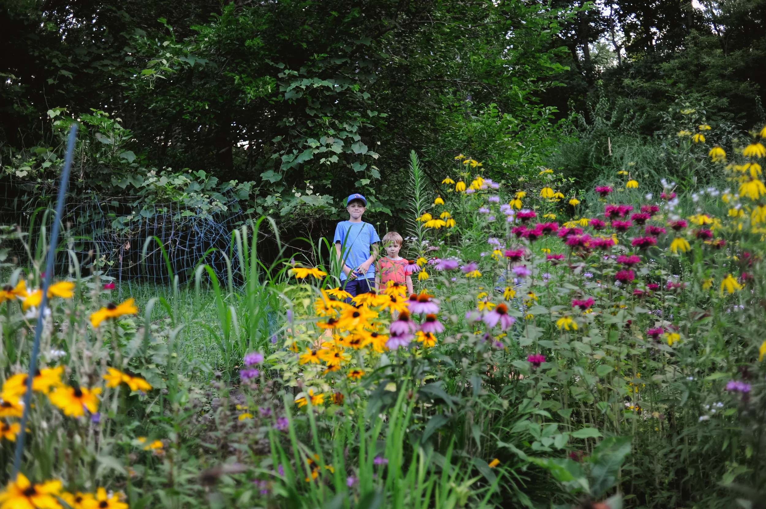 DSC_0020.jpg