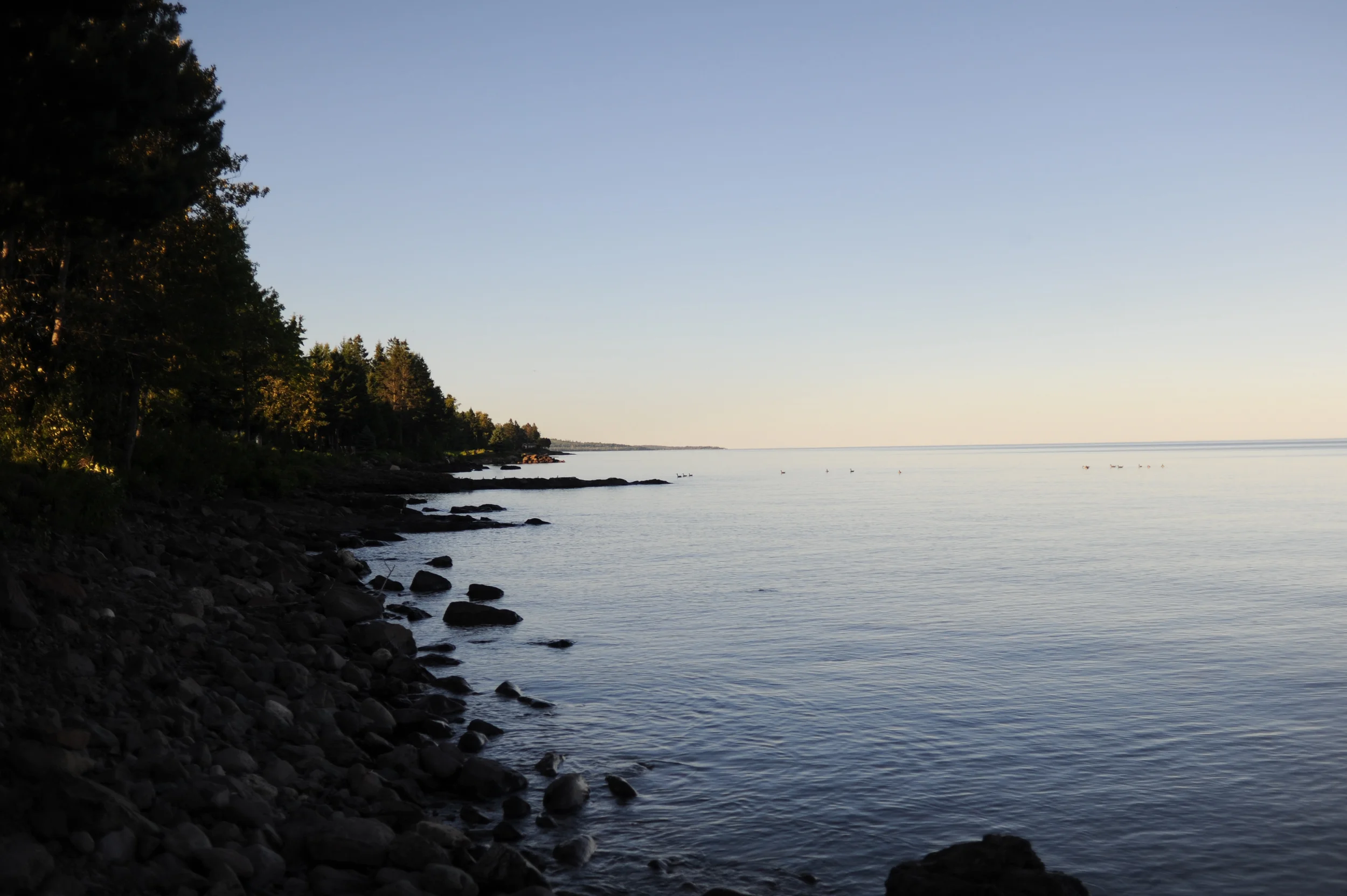 DSC_0320.jpg