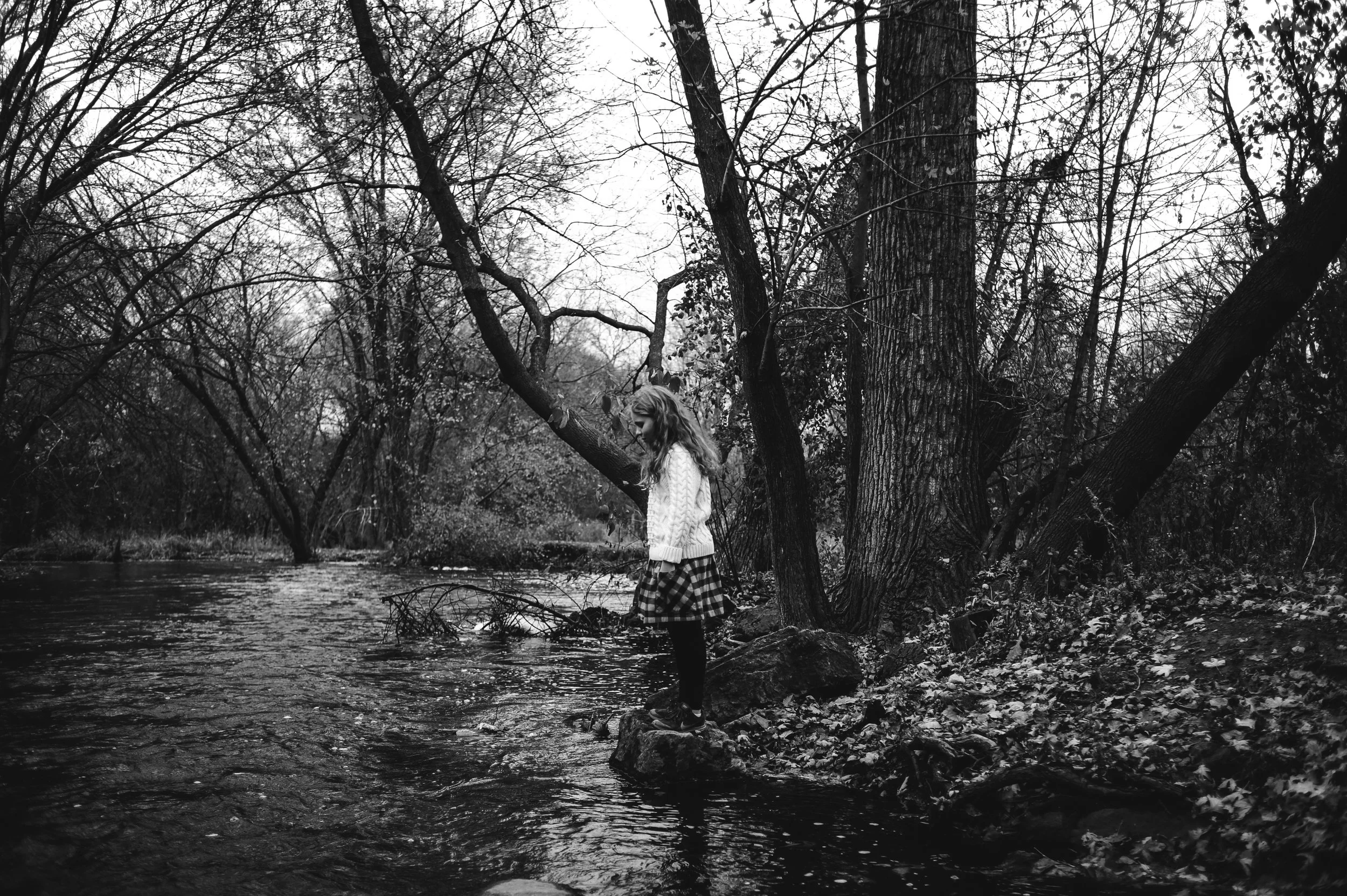 DSC_0110-2.jpg