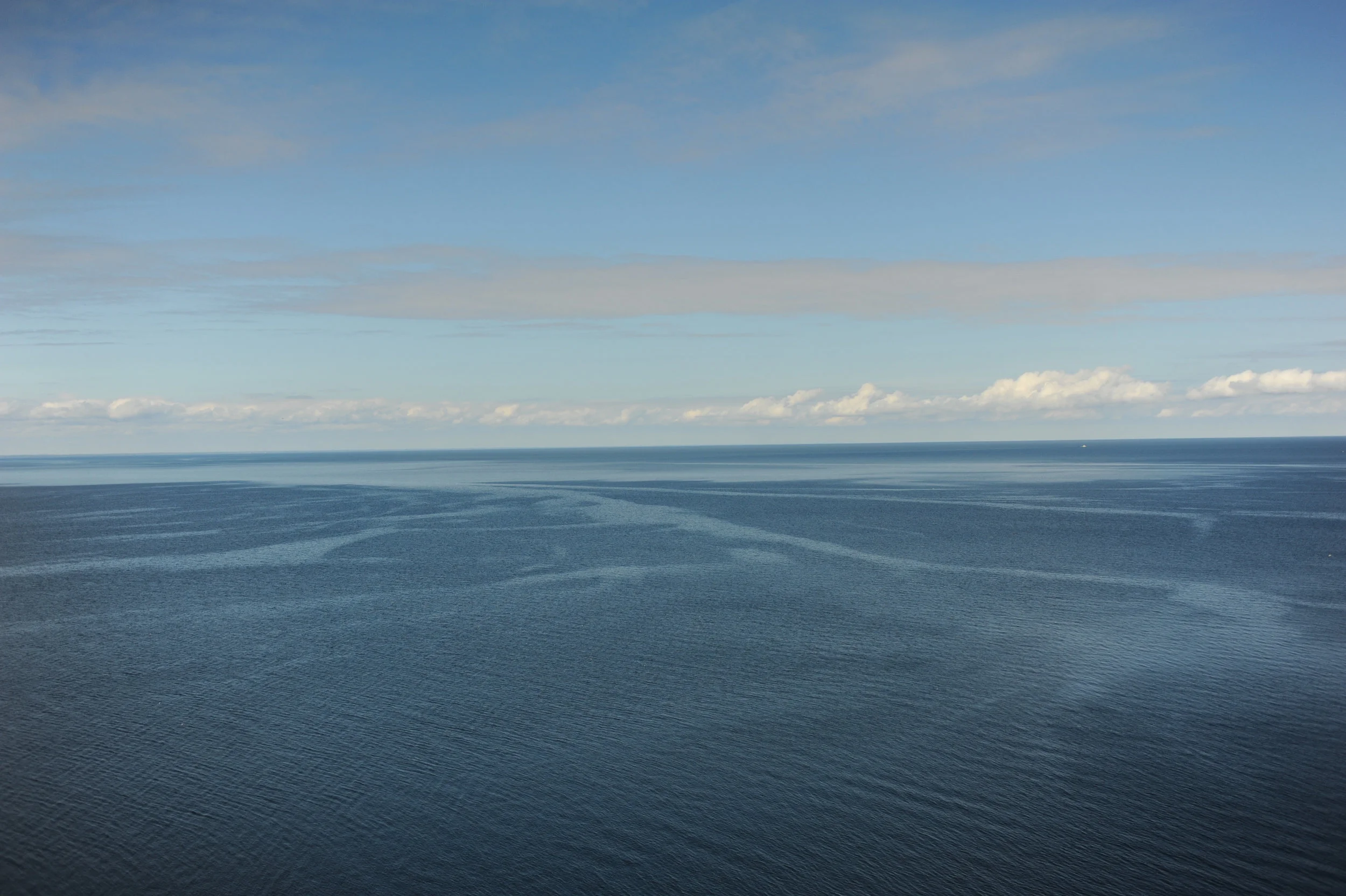 DSC_8142.jpg