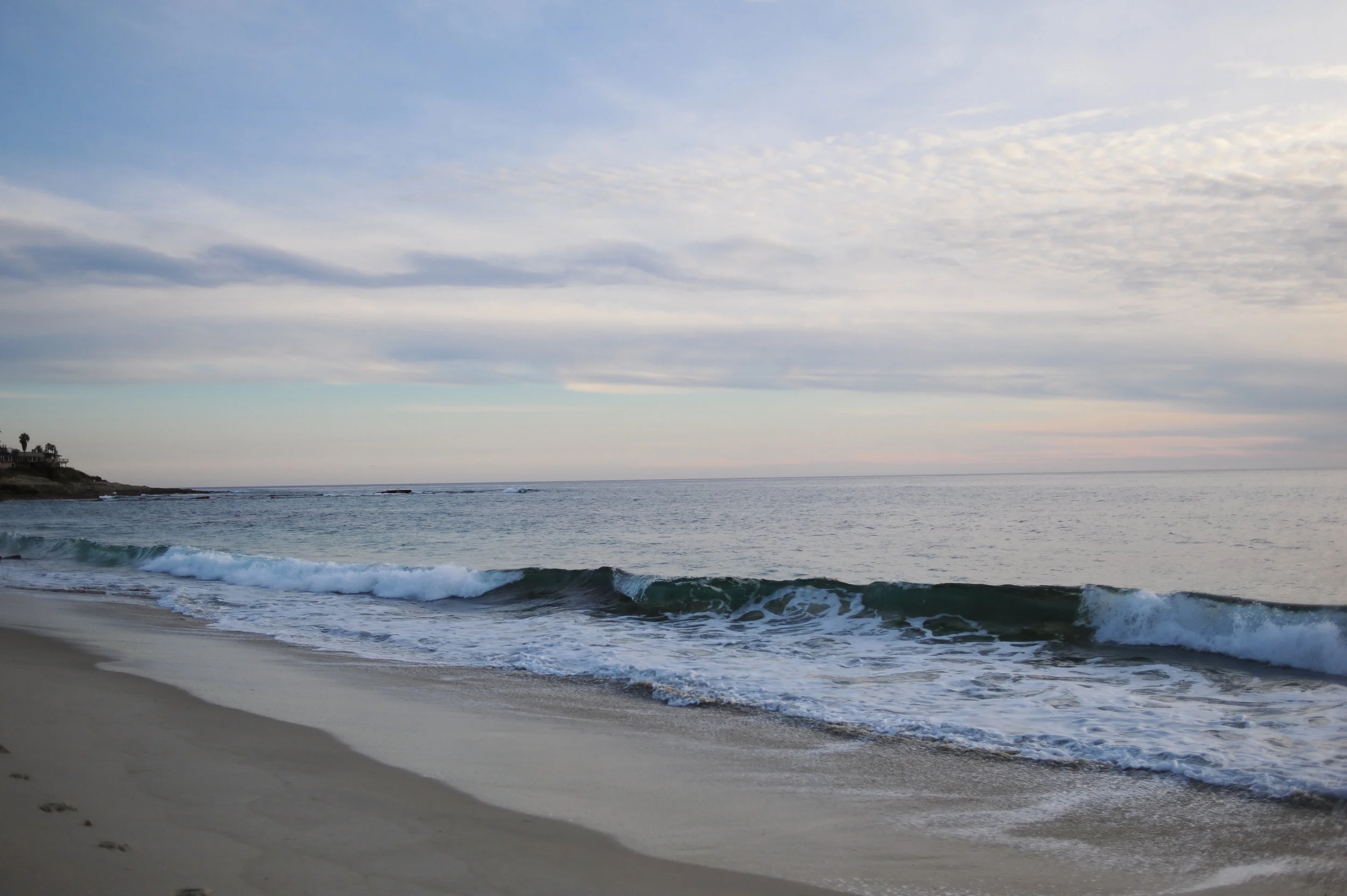 DSC_2330.jpg