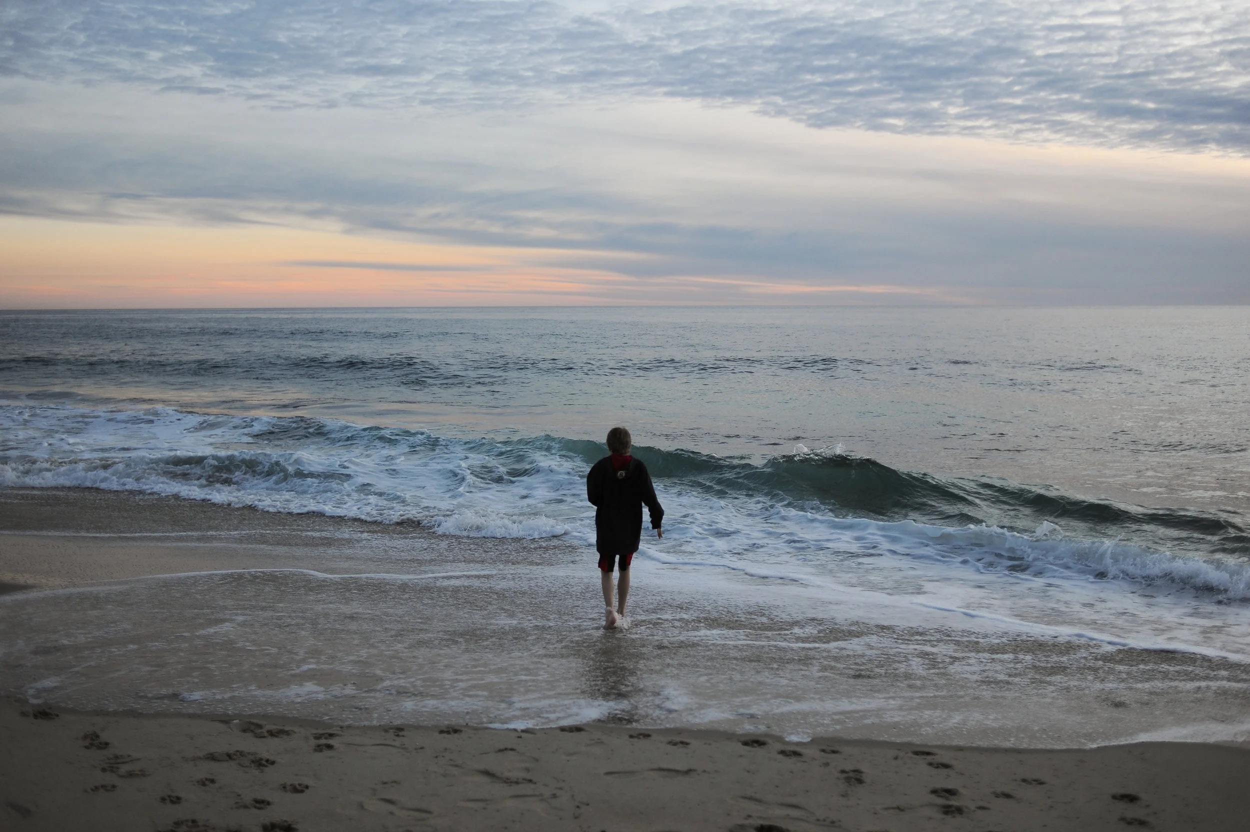 DSC_2352.jpg
