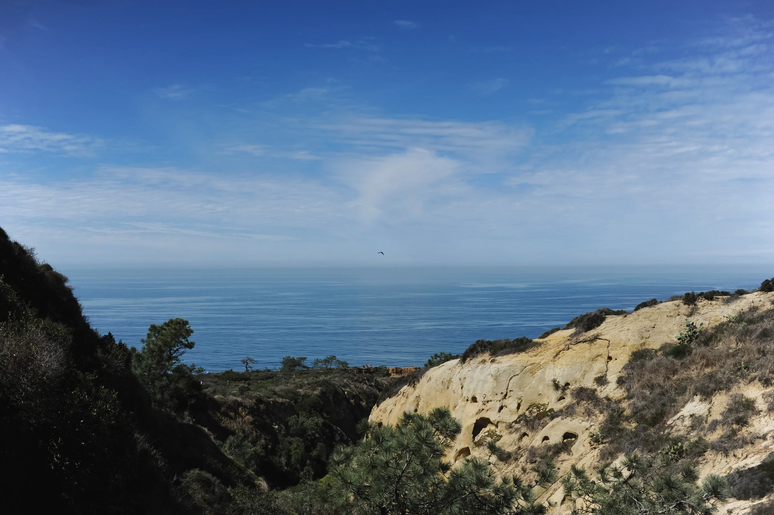 DSC_2364.jpg