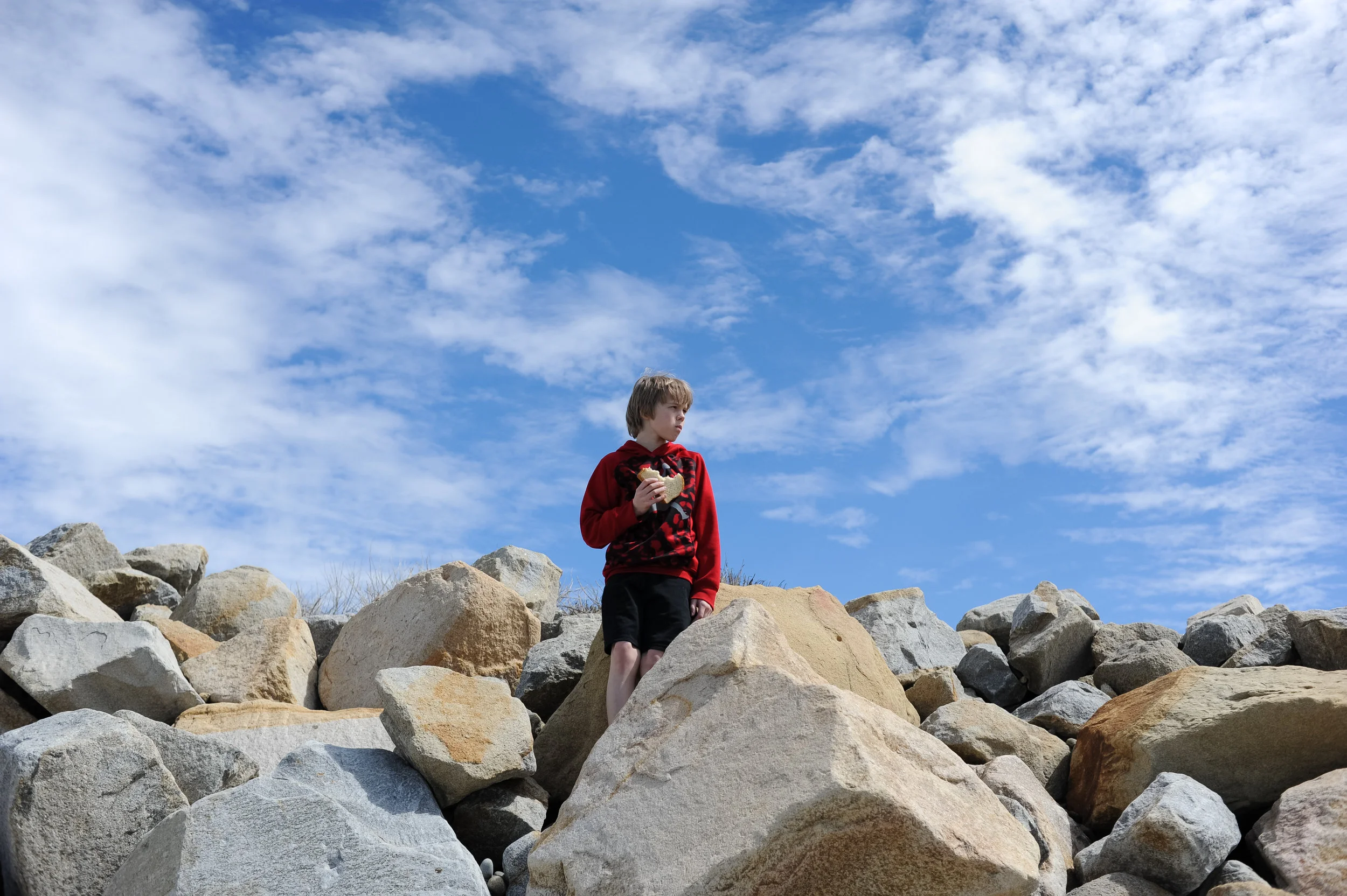 DSC_2393.jpg
