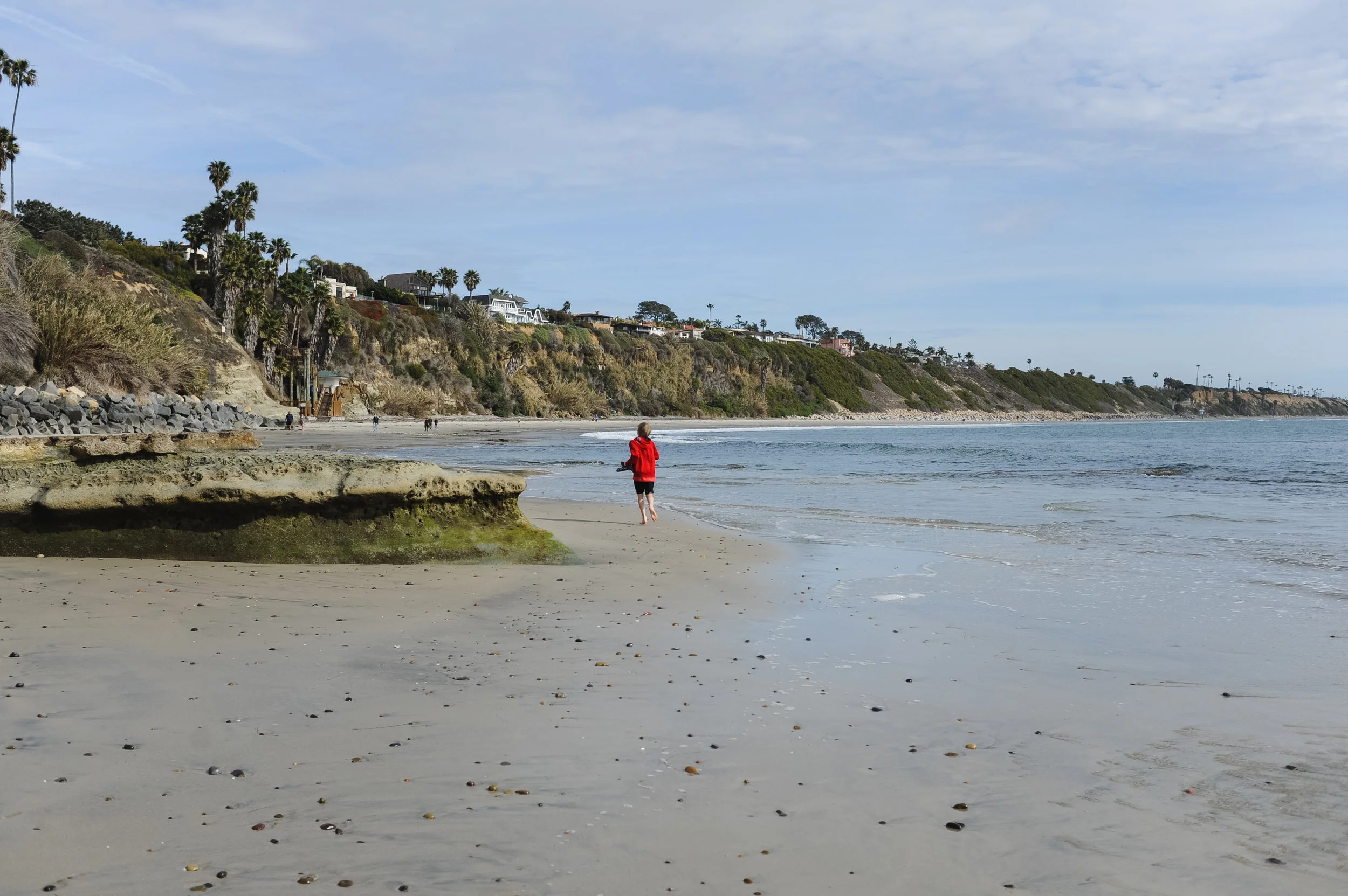 DSC_2441.jpg