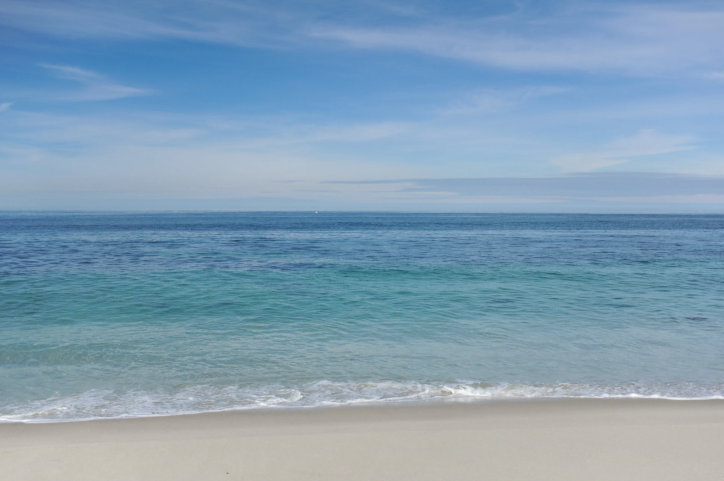 DSC_2452.jpg