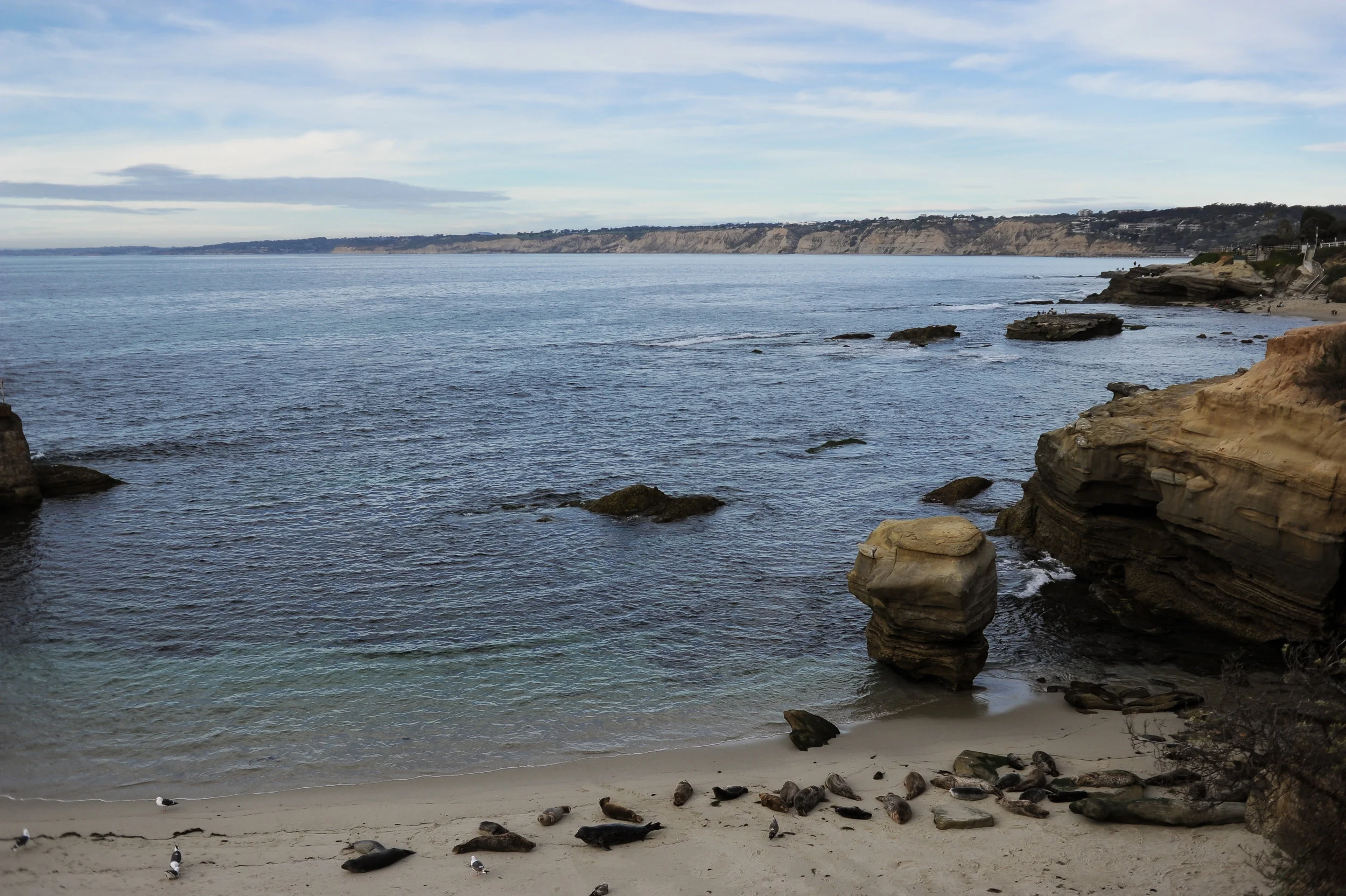 DSC_2515.jpg