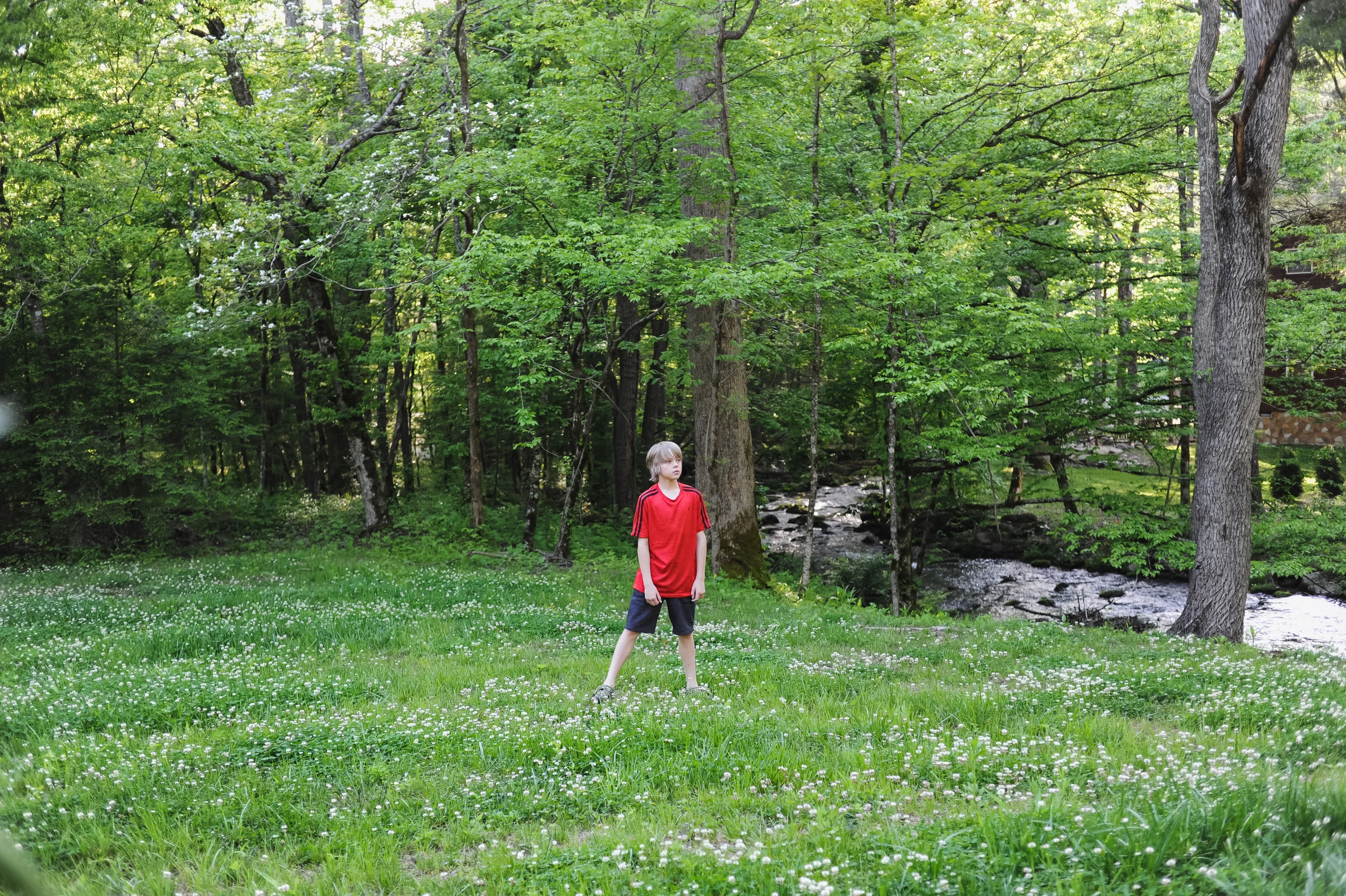 DSC_2795.jpg