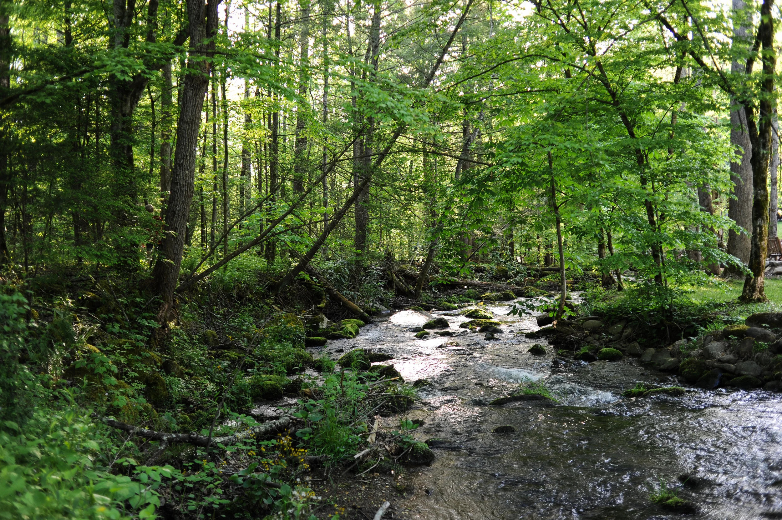 DSC_2803.jpg