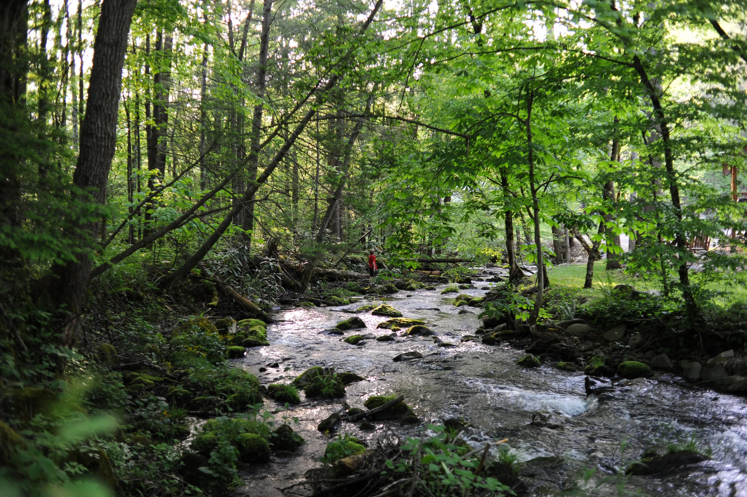 DSC_2809.jpg