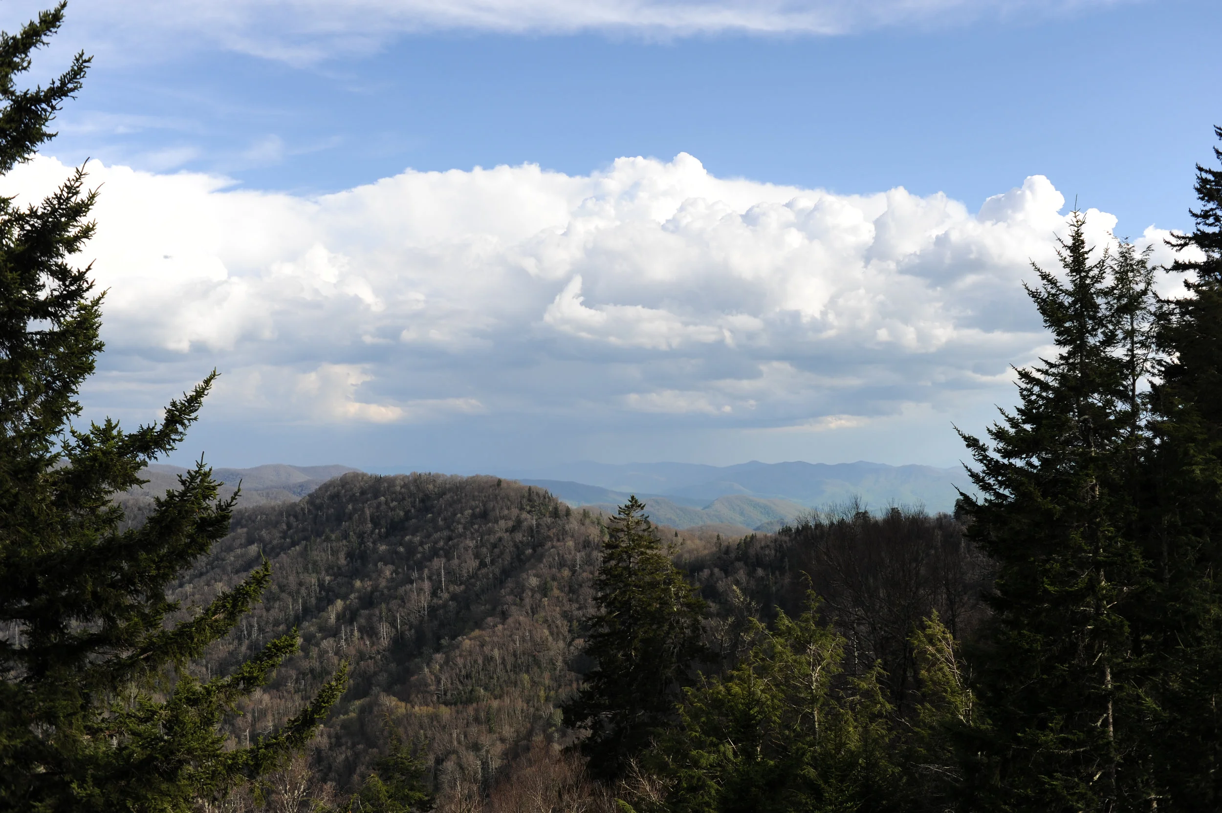 DSC_2914.jpg