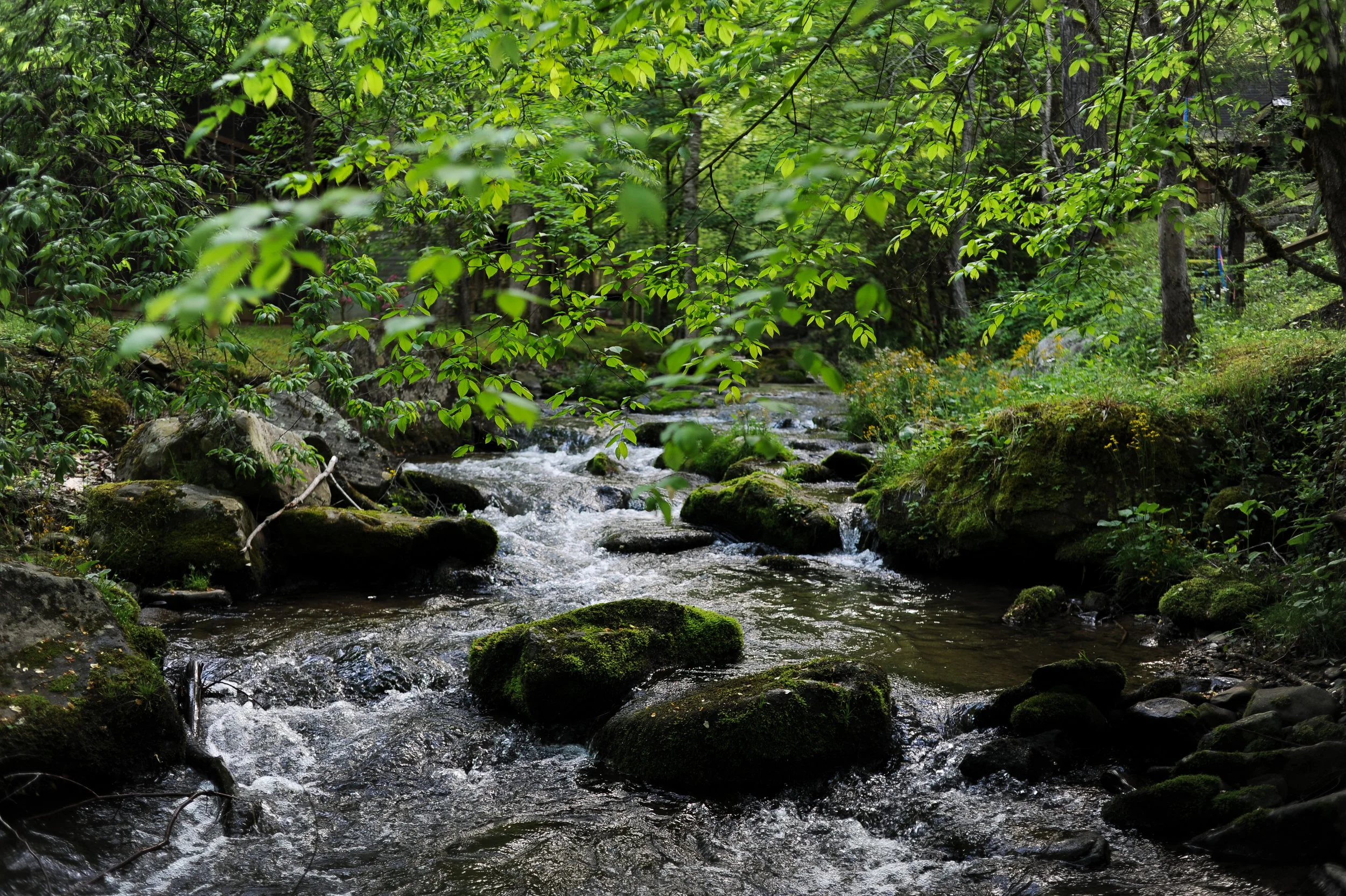 DSC_2935.jpg
