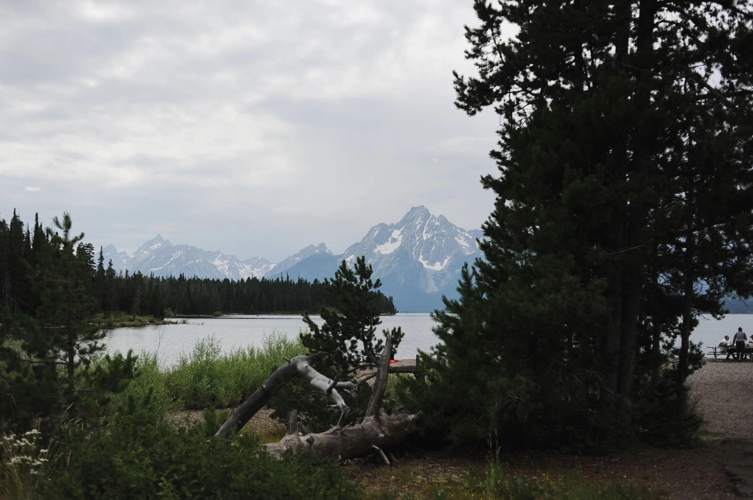 DSC_3374.jpg