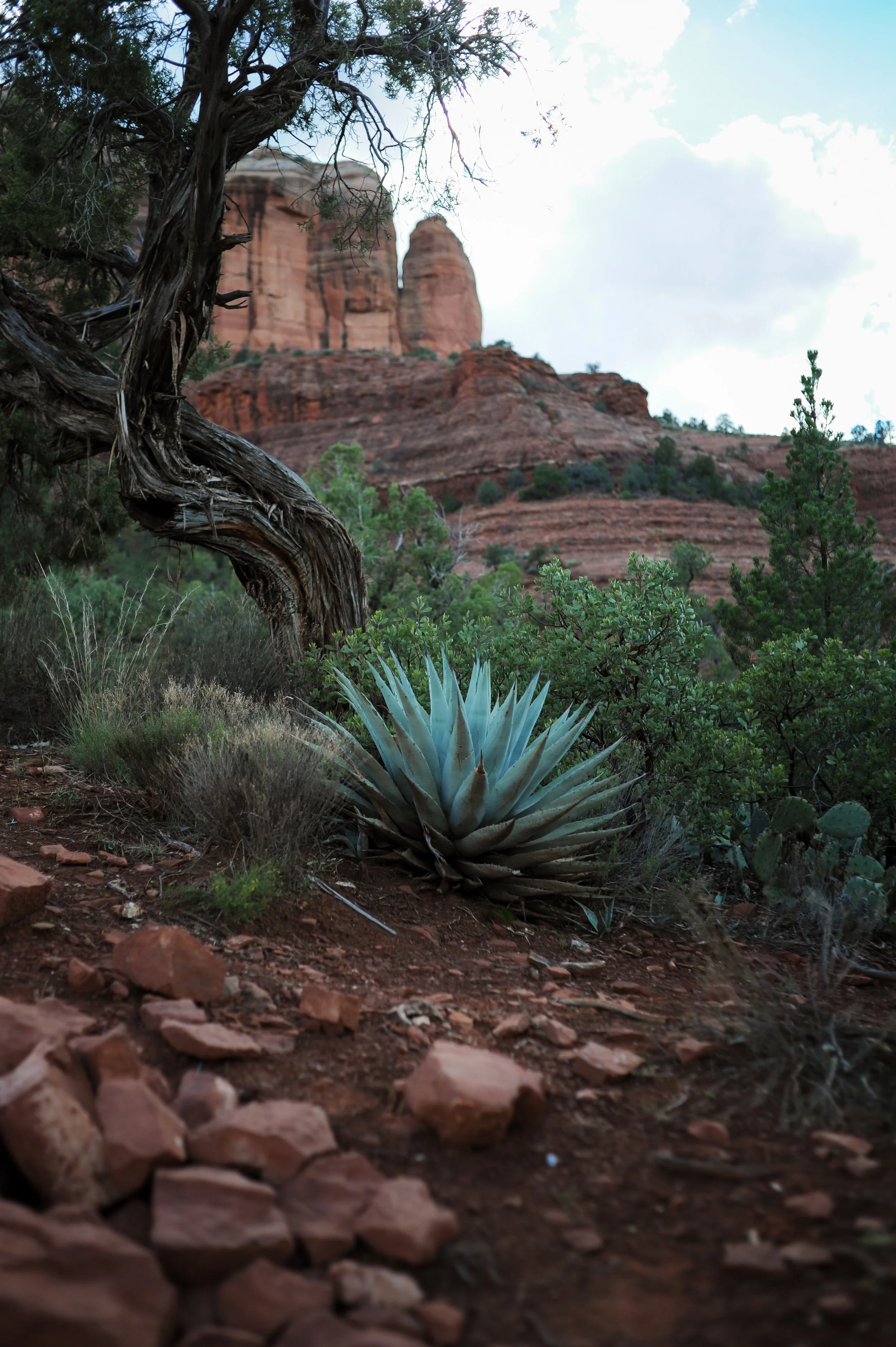 DSC_5827.jpg