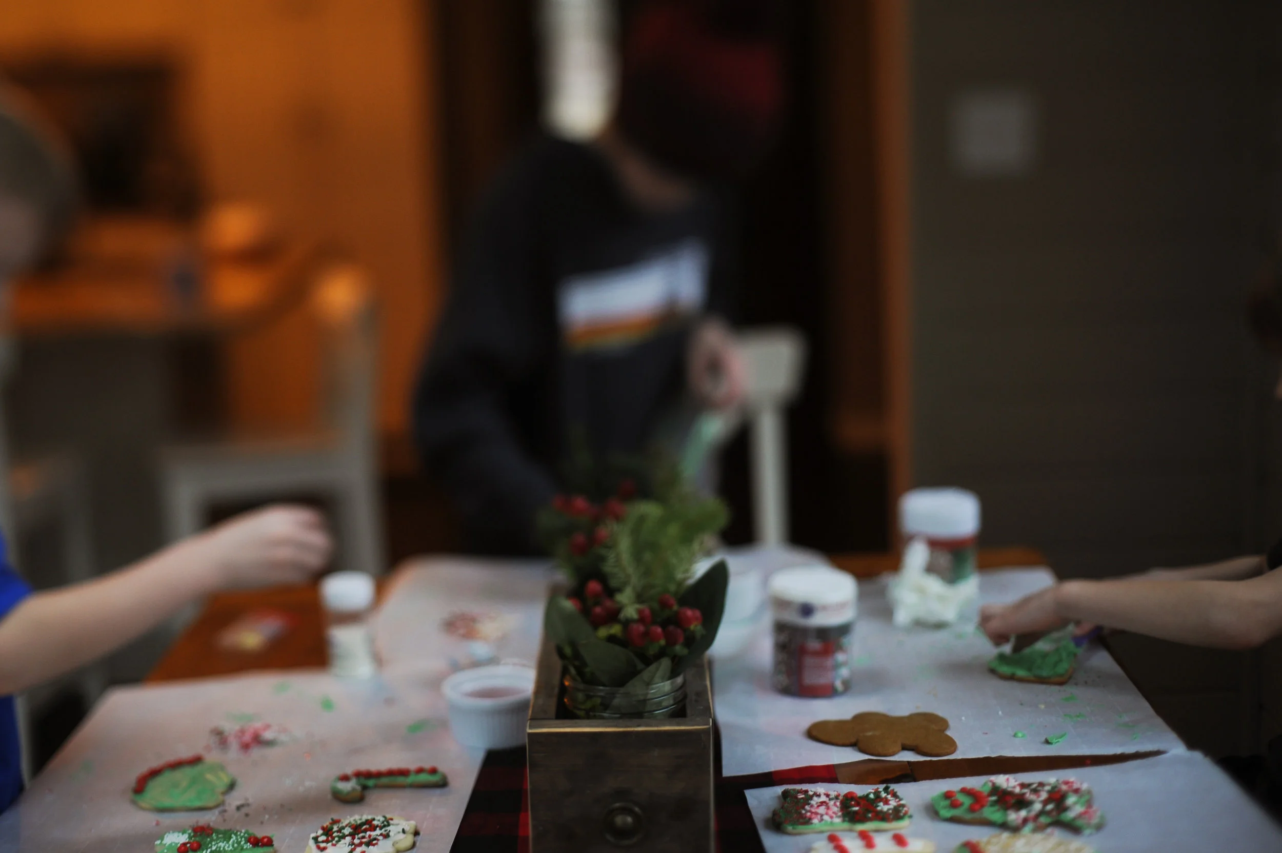 DSC_6889.jpg