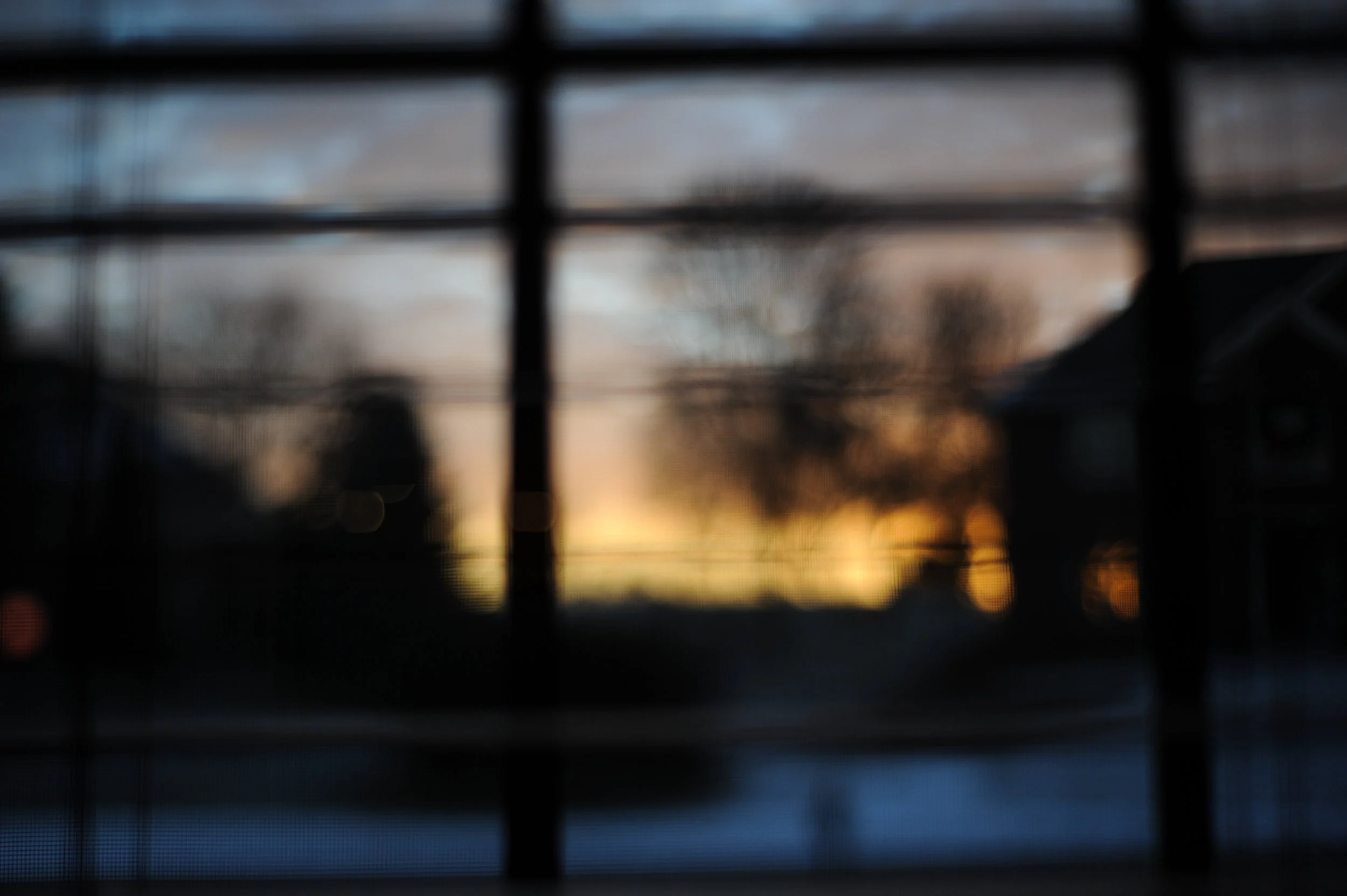DSC_6945.jpg