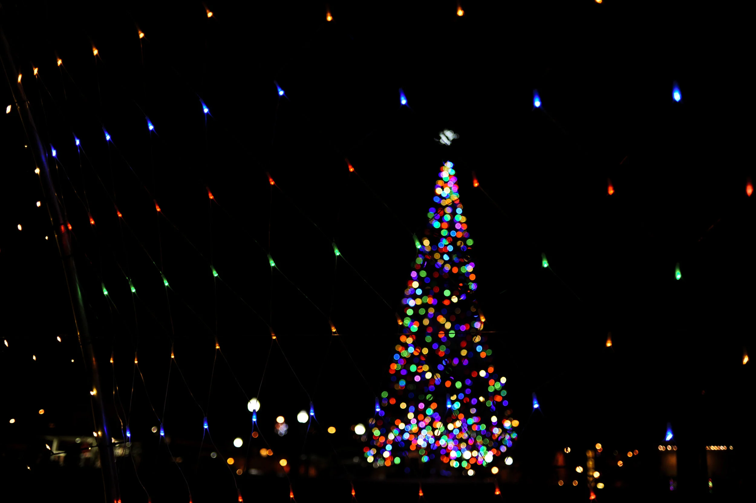 DSC_6956.jpg
