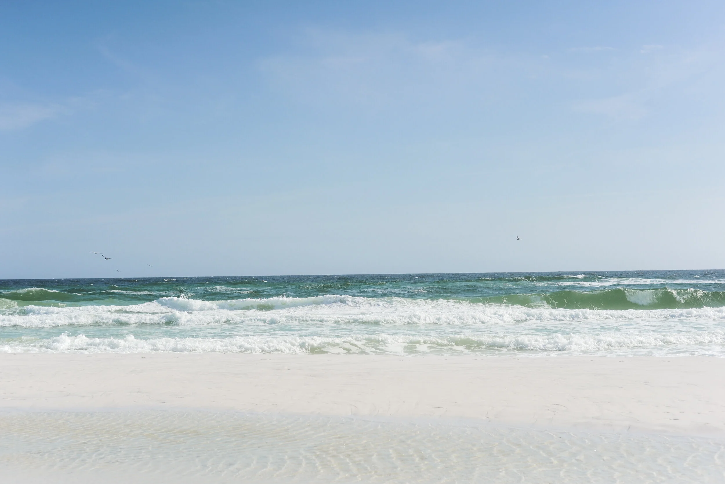 DSC_7150.jpg