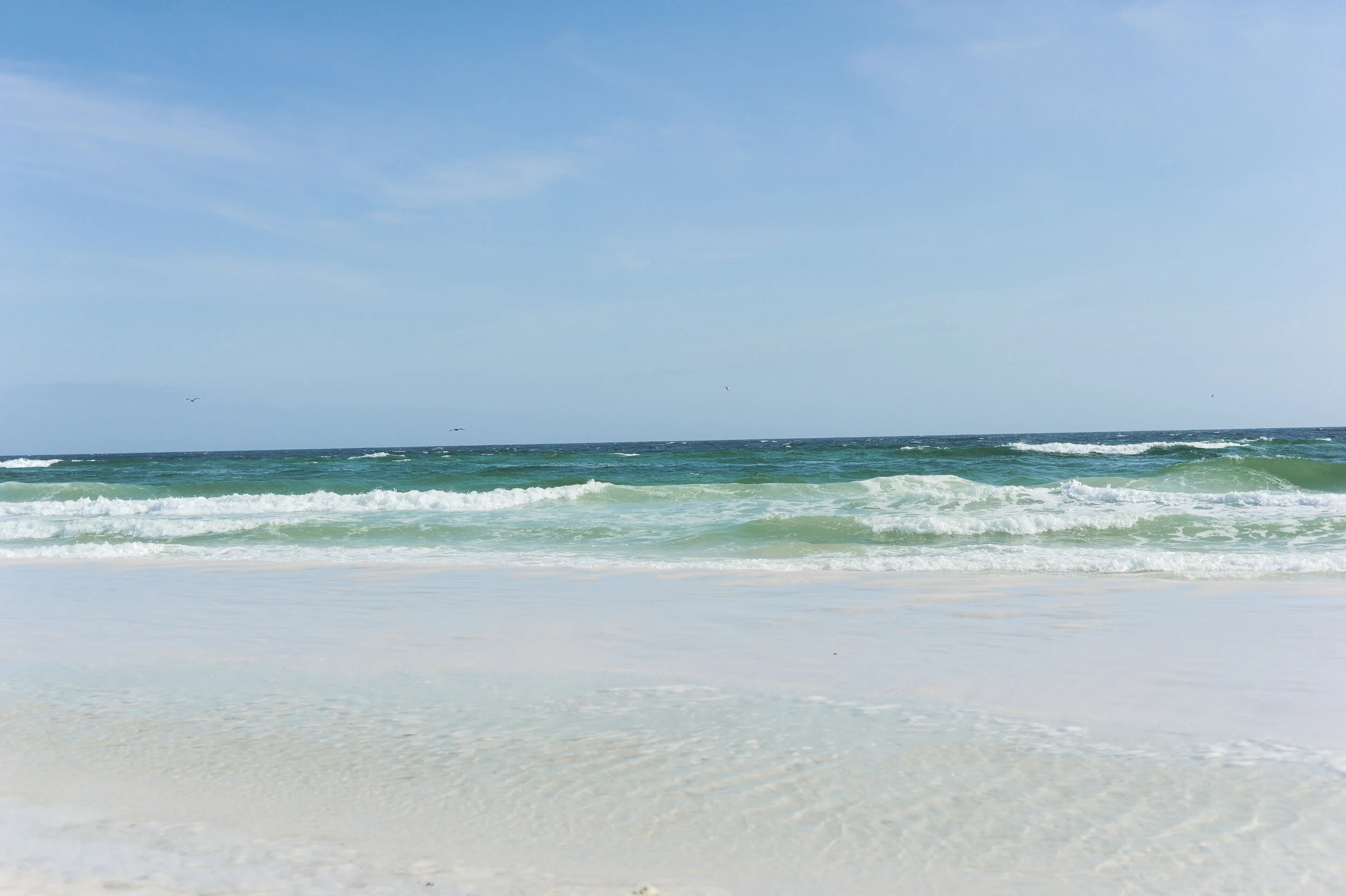 DSC_7160.jpg