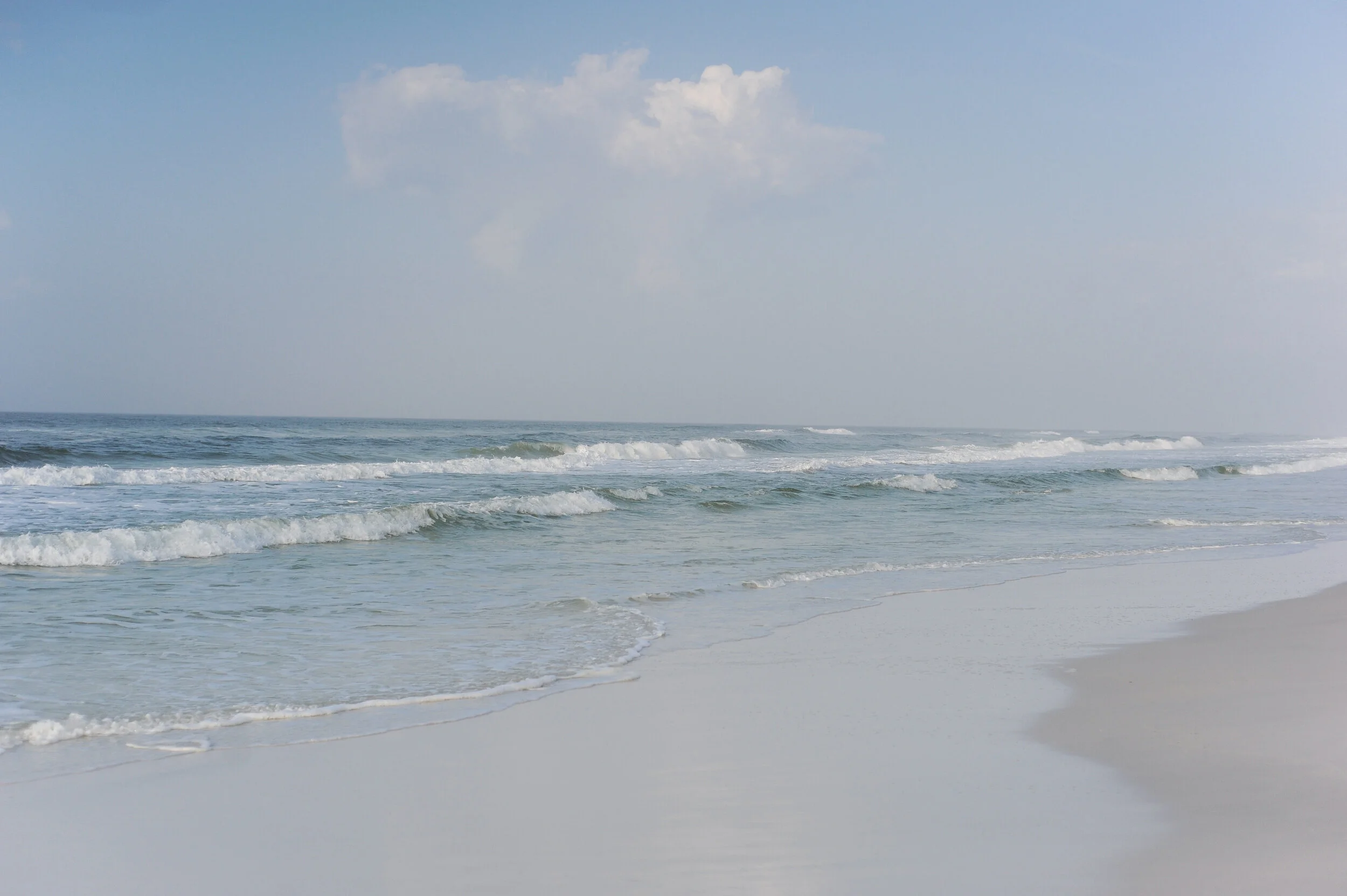 DSC_7176.jpg