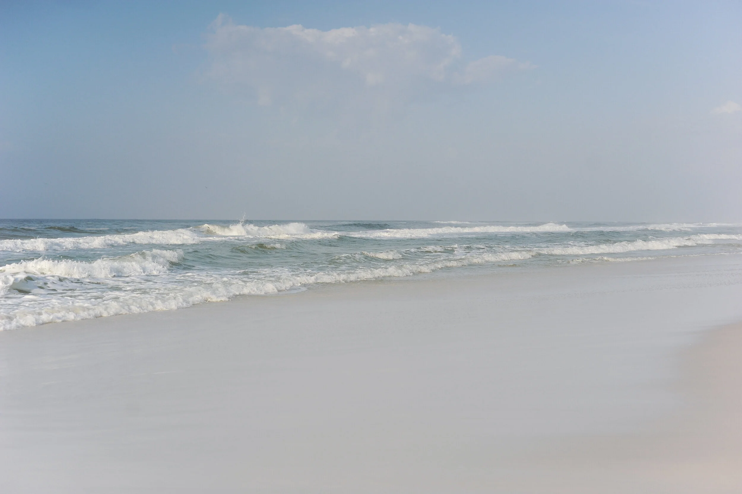 DSC_7180.jpg