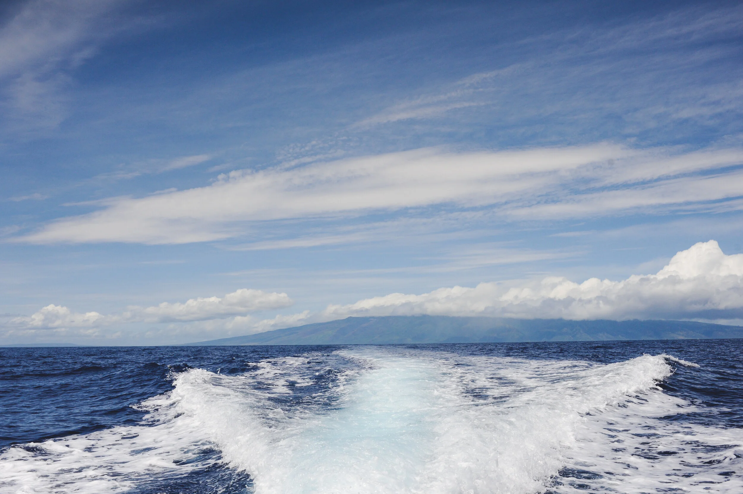 DSC_1976.jpg